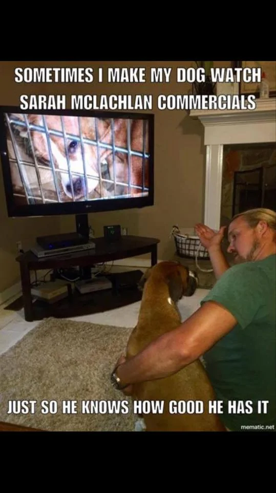 Jeep Wrangler JL Jeep humor waiting room ( ** NO POLITICS ** ) dogcommercial