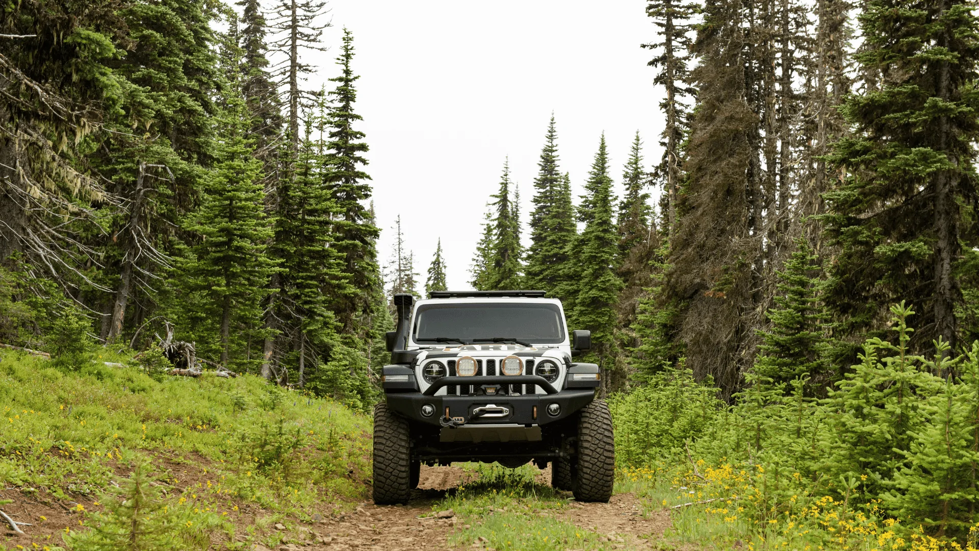 Jeep Wrangler JL ARB HOLIDAY GIVEAWAY! (CLOSED) + 15% OFF ALL JEEP JL PRODUCTS JLARB-HOLIDAY