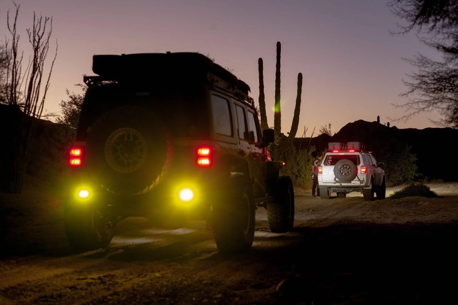 Jeep Wrangler JL Baja 1000 tYLV5KD0zKQCor8fSABB21IMftWWq6jp39uGqqH7x794FUnYYI