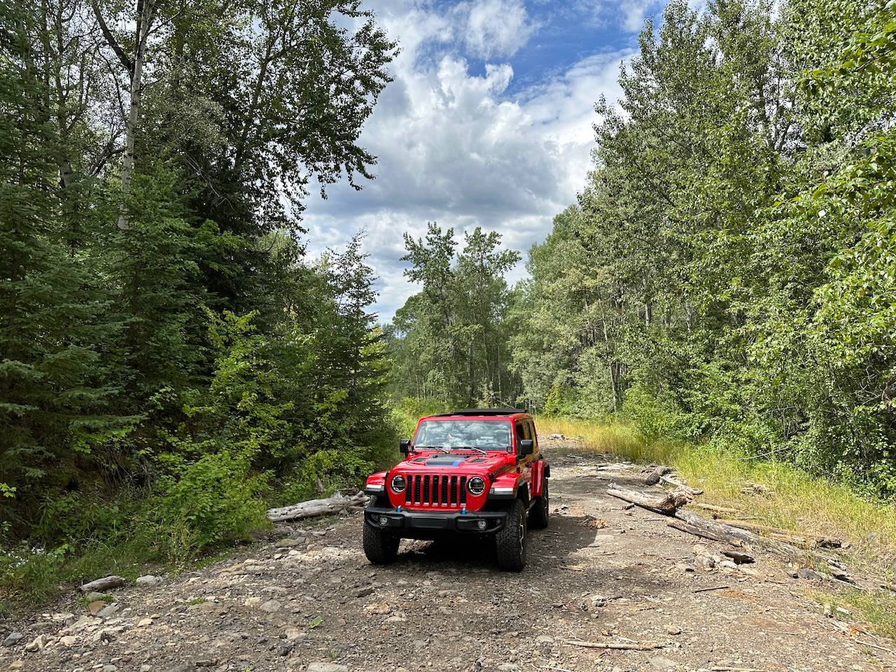 Jeep Wrangler JL Does anyone like their Jeep? IMG_7387