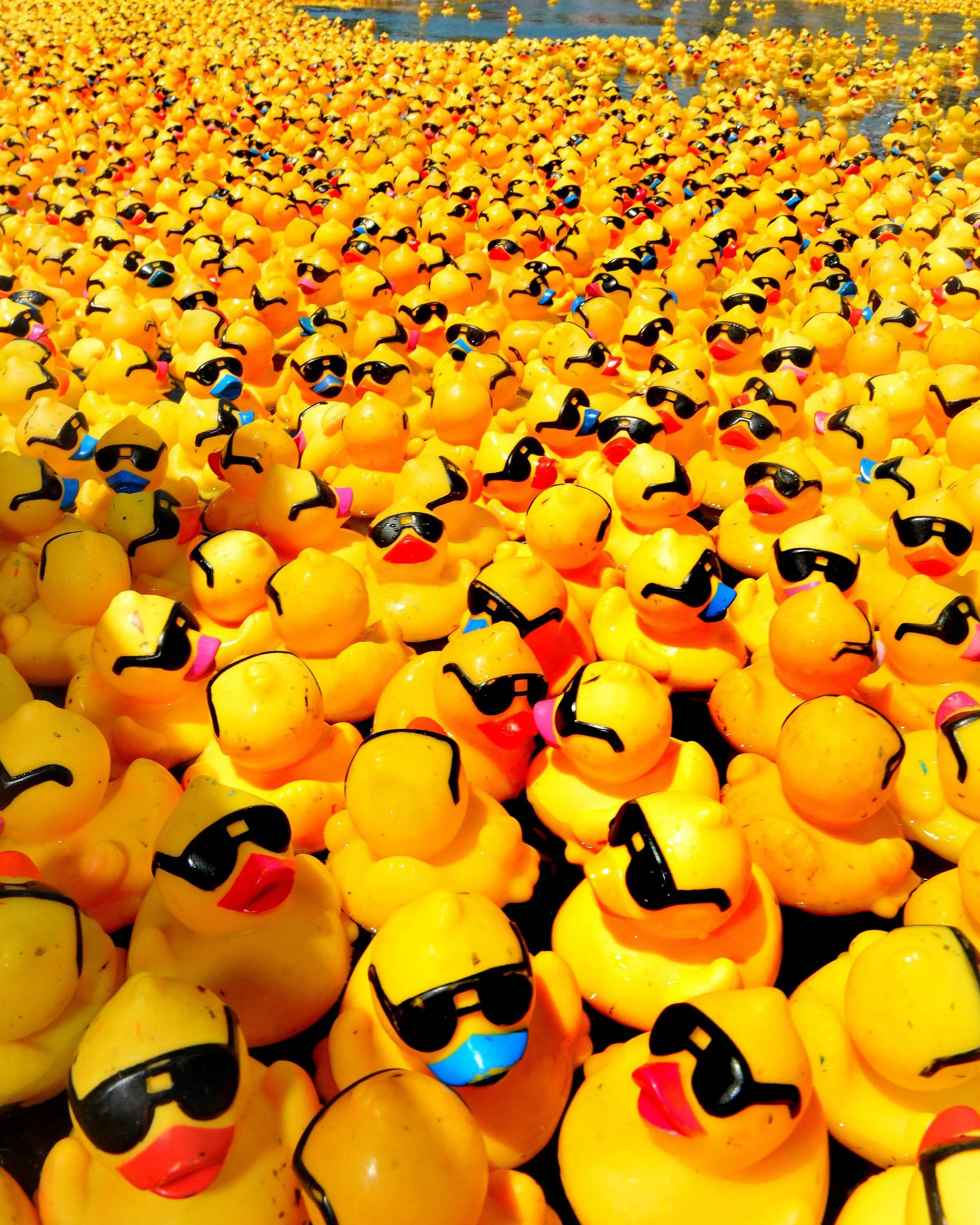 Jeep Wrangler JL What have I become? 1397484306000-duck-race_5353953_ver1.0