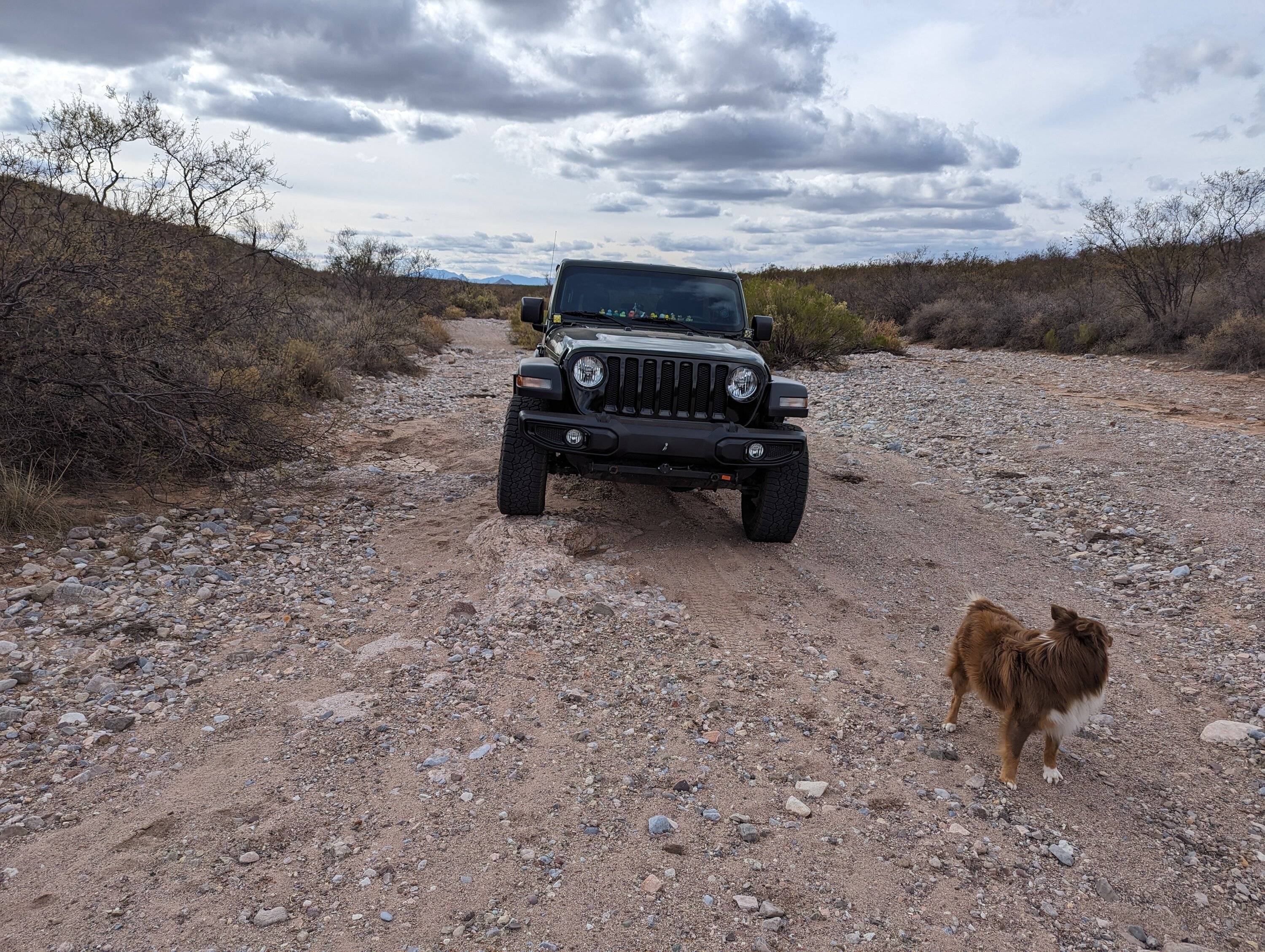Jeep Wrangler JL Does anyone like their Jeep? PXL_20231130_195203409