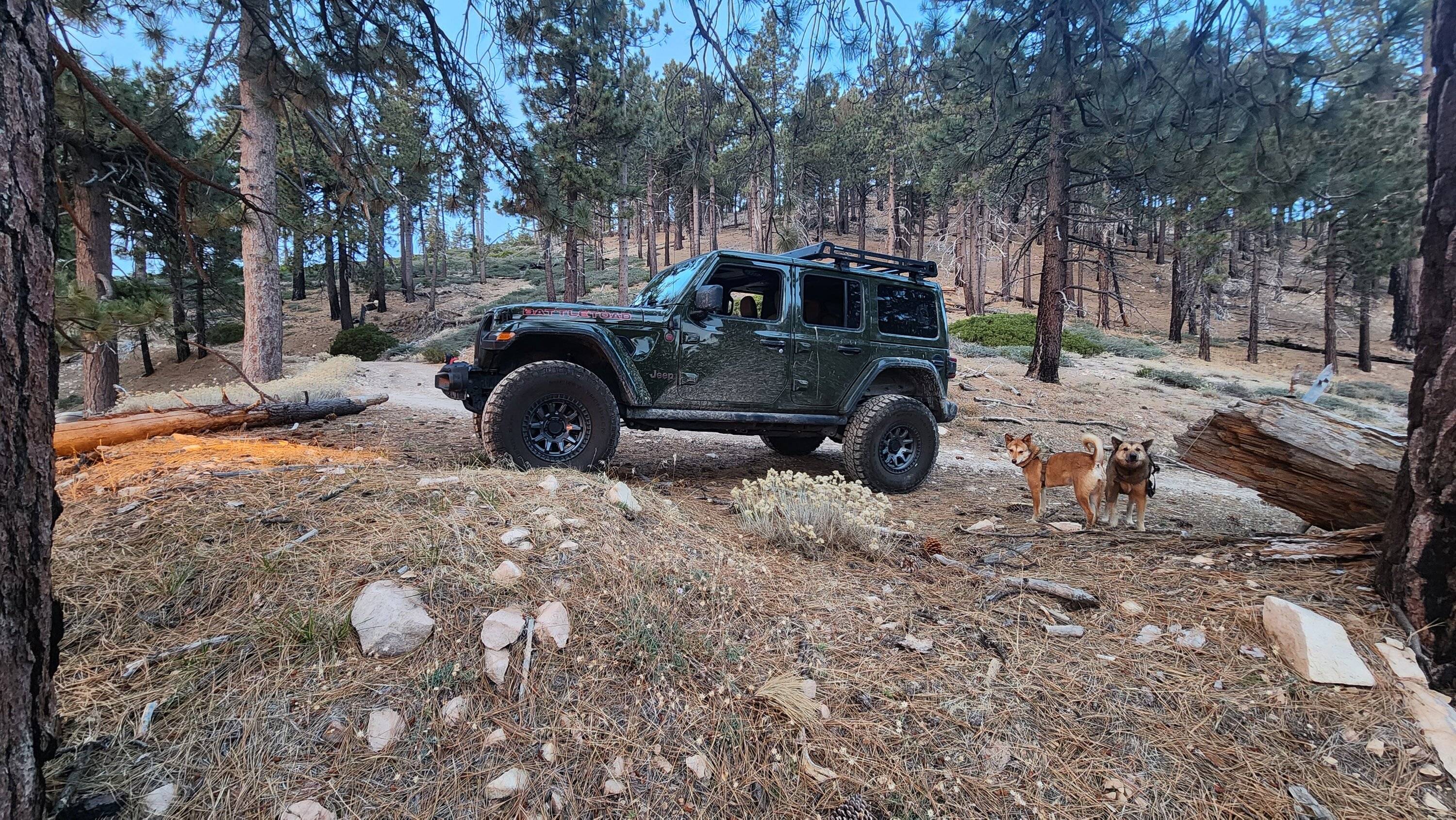 Jeep Wrangler JL Does anyone like their Jeep? 1000016242