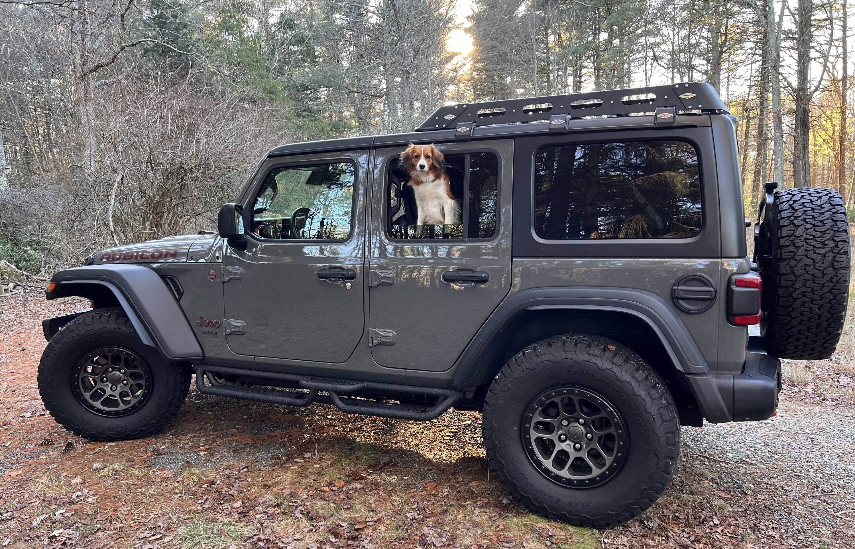 Jeep Wrangler JL Jeep Dog pics IMG_2054