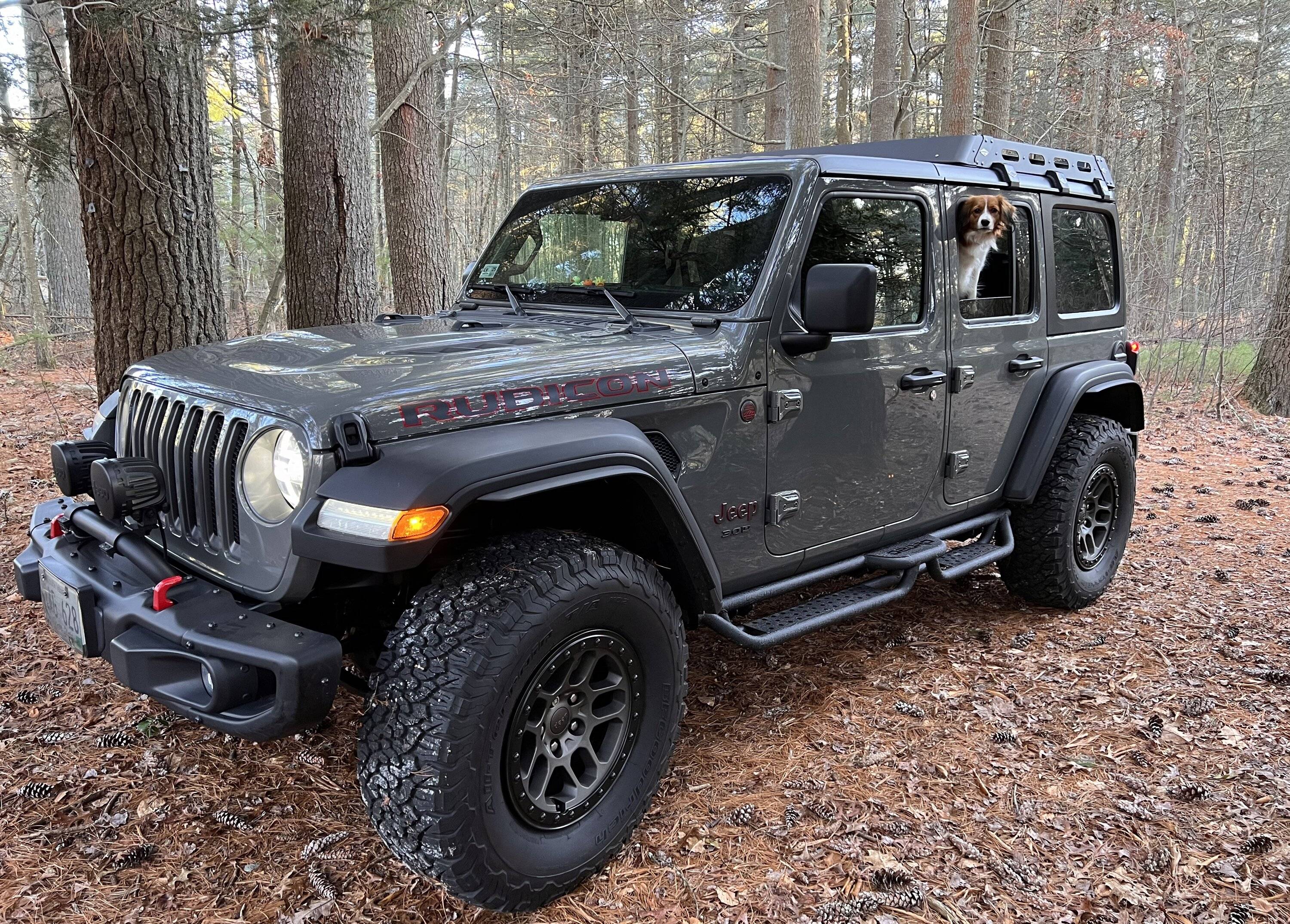 Jeep Wrangler JL Jeep Dog pics IMG_2057
