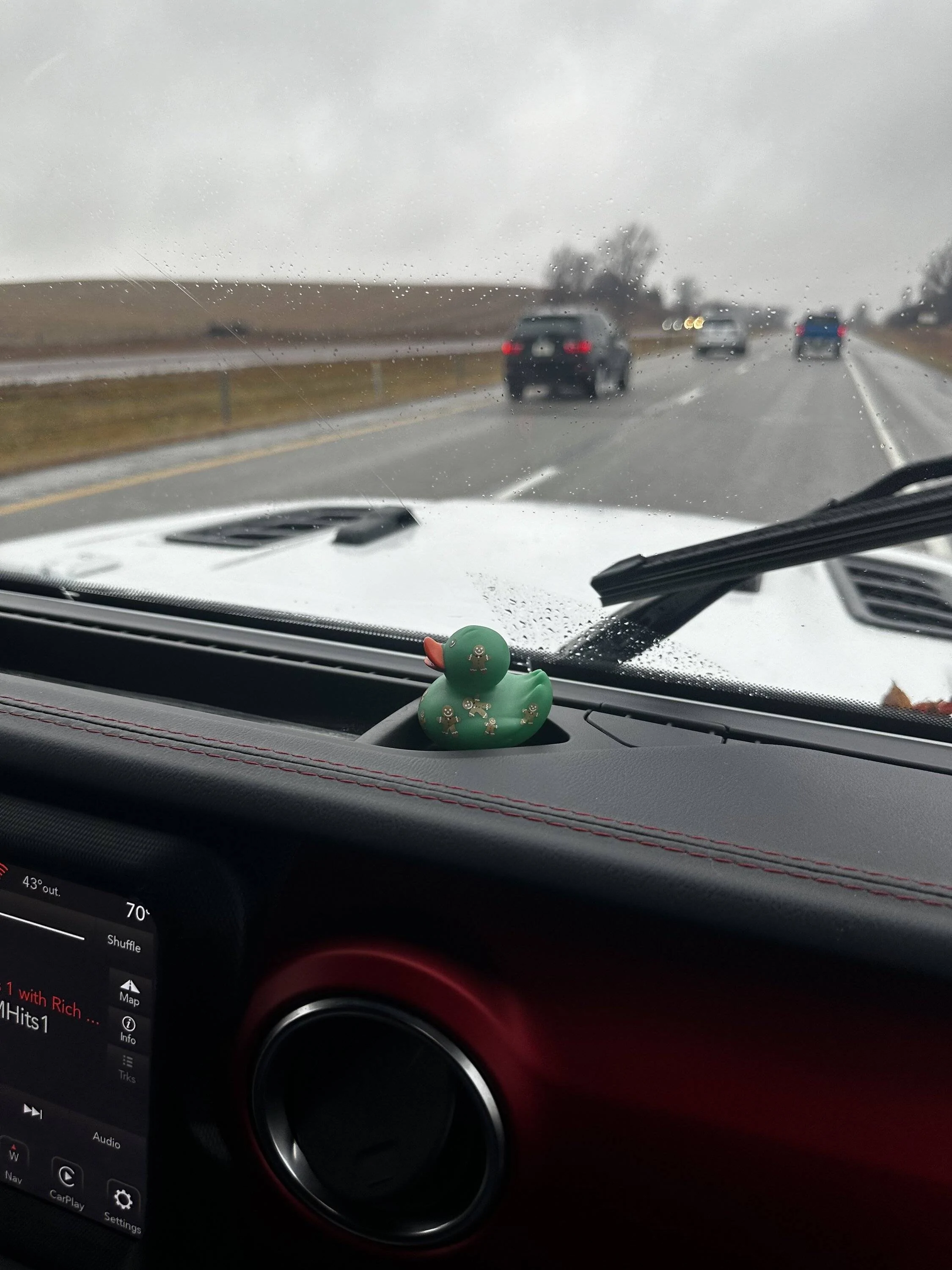 Jeep Wrangler JL Got Ducked!!!!! 1702758348663