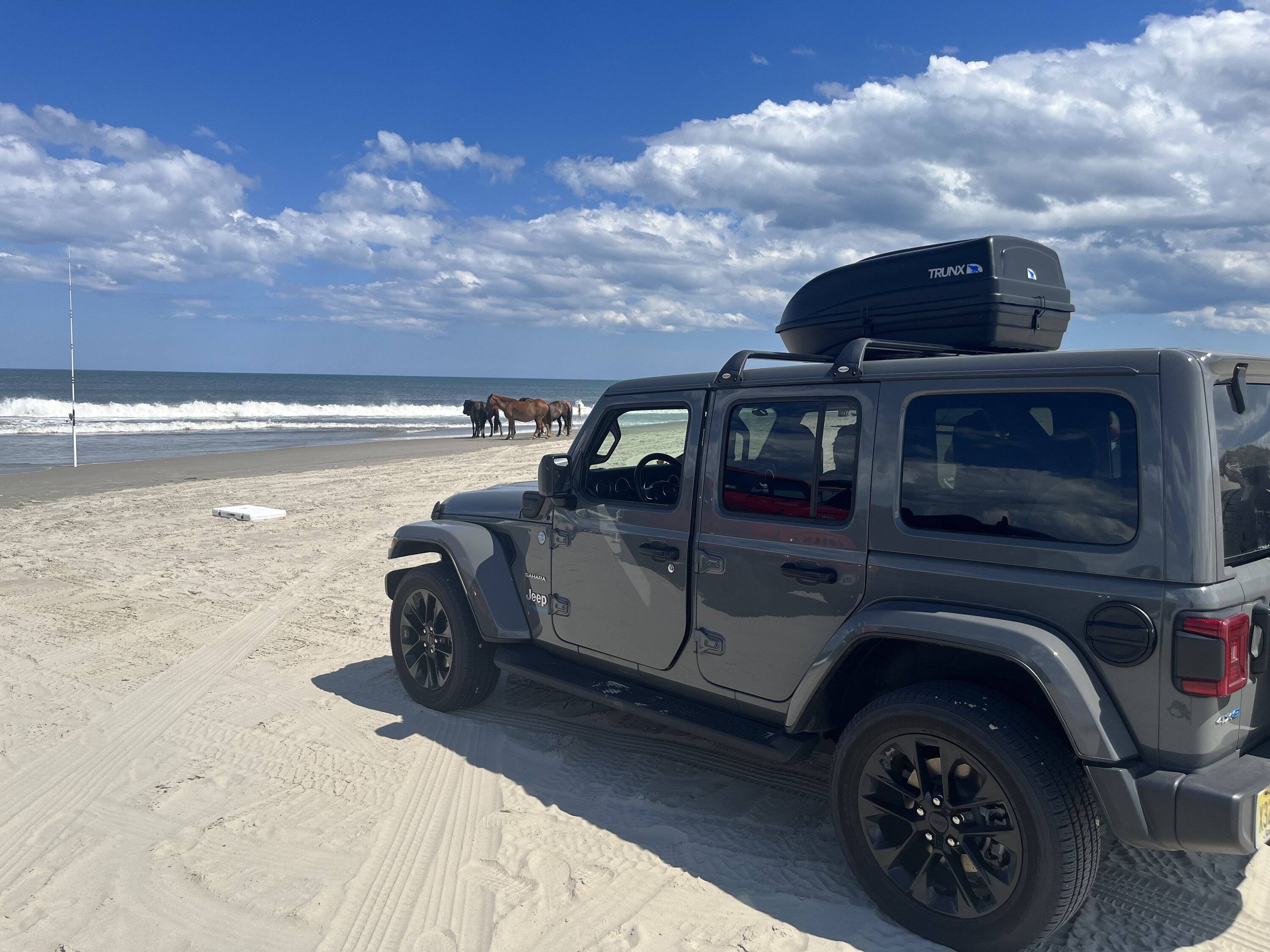 Jeep Wrangler JL 4xe off-roading shots -- post yours! IMG_7631