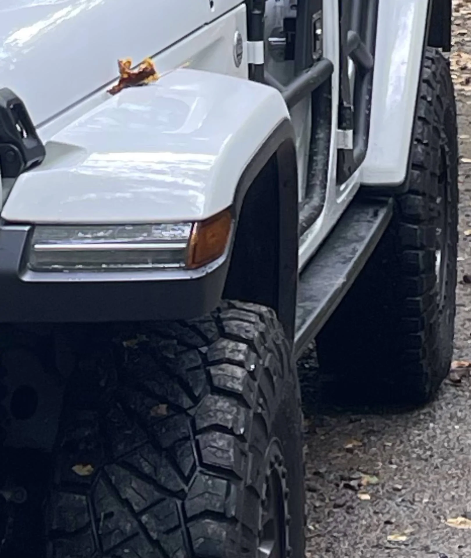 Jeep Wrangler JL To angle, or not to angle... IMG_0267