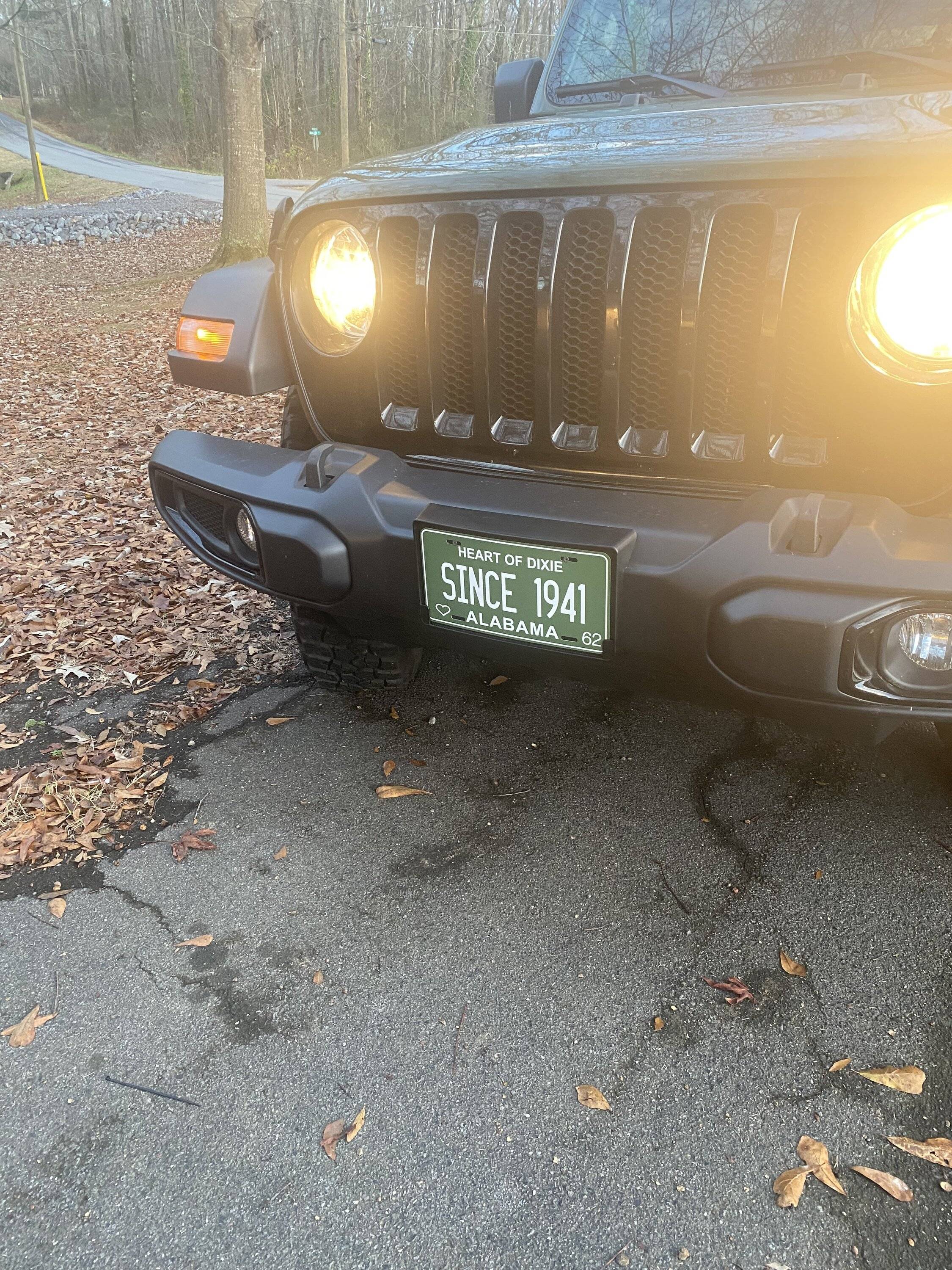 Jeep Wrangler JL Dressing her up a bit IMG_0004