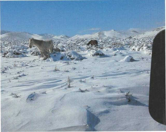 Jeep Wrangler JL Winterizing your Wrangler Scan_zps31yatrdd