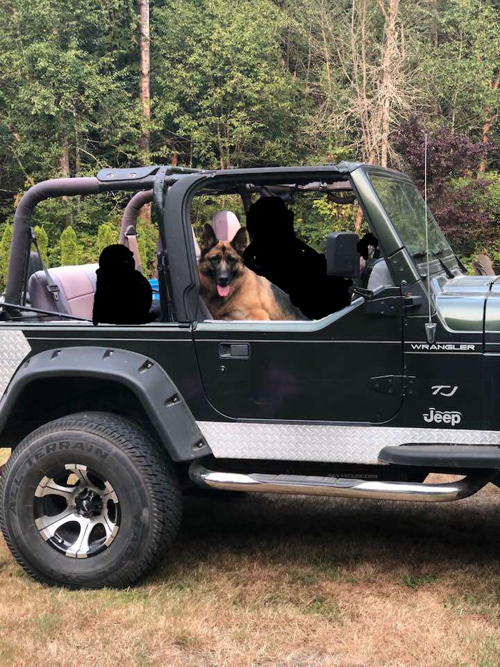 Jeep Wrangler JL 2019 Jeep Colors revealed, including New BIKINI color OS7Cnia