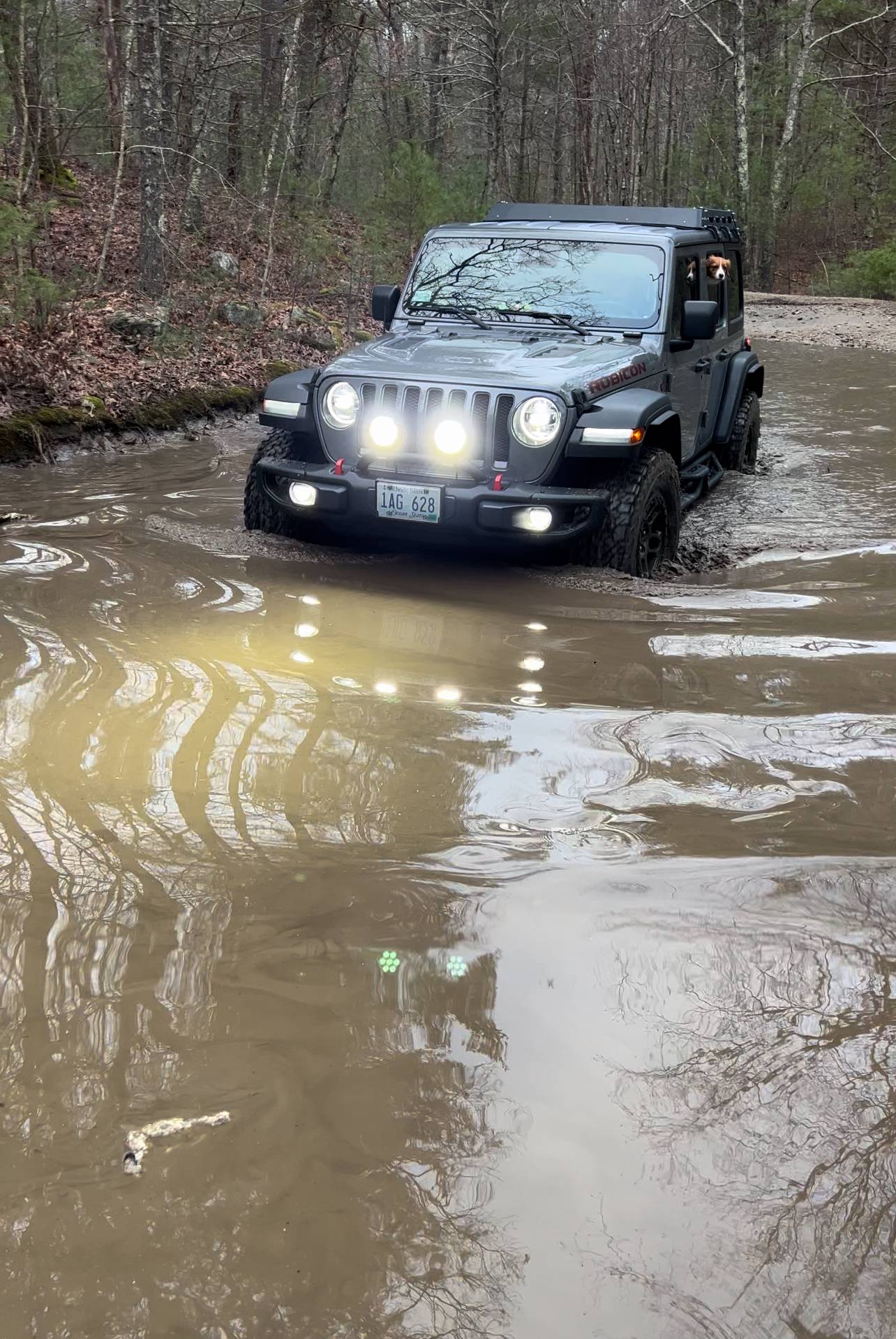 Jeep Wrangler JL Jeep Dog pics IMG_2127