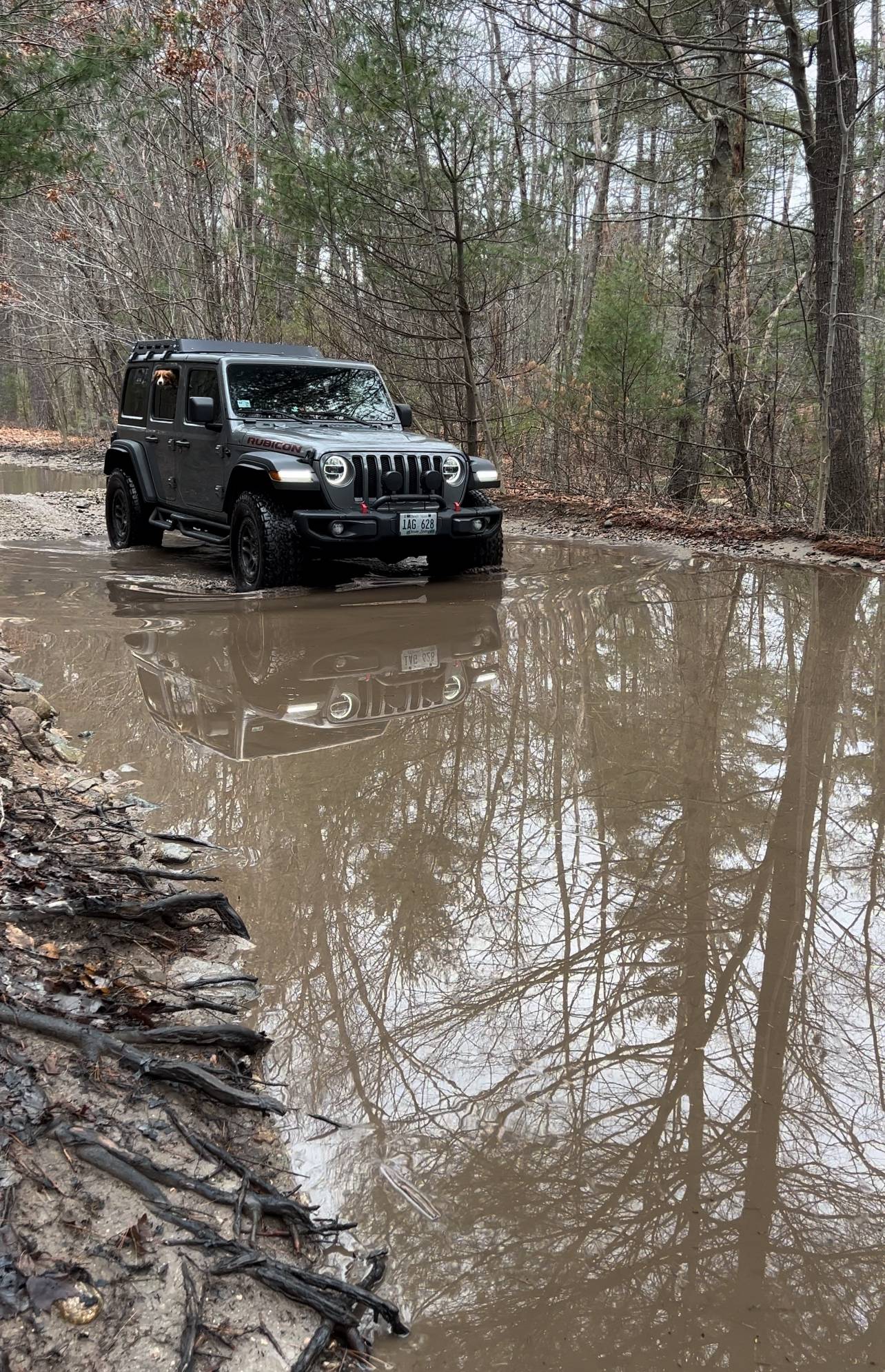 Jeep Wrangler JL Jeep Dog pics IMG_2131