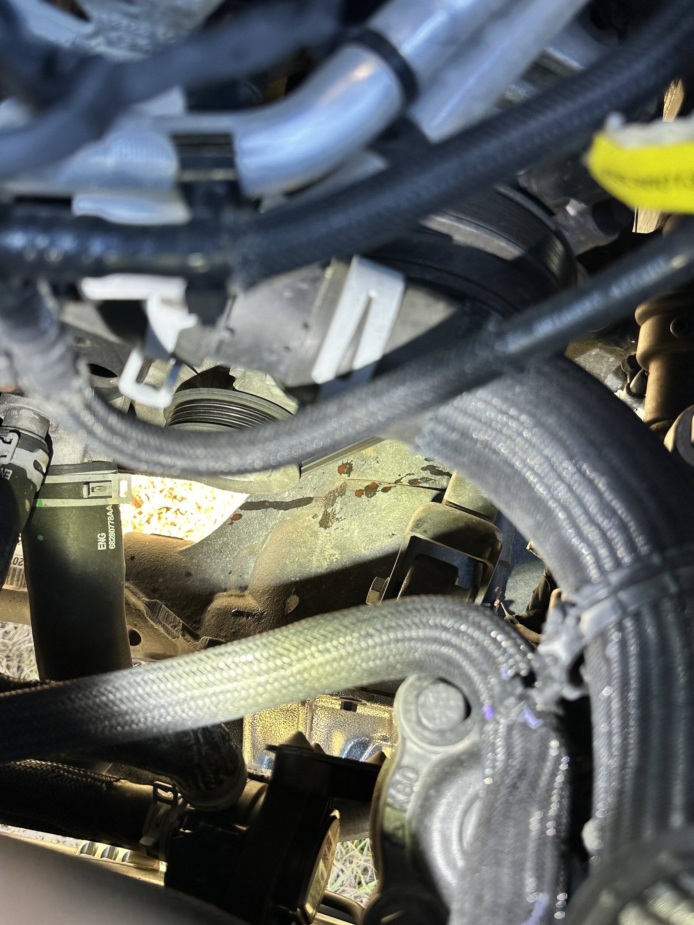 Jeep Wrangler JL Water Pump Leak Joys IMG_0495