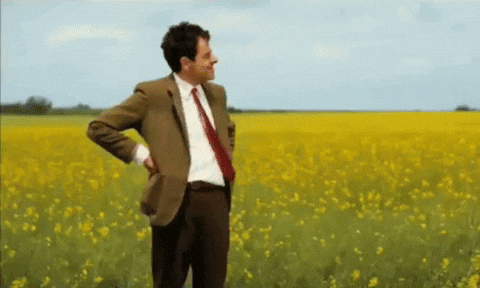 giphy (38).gif