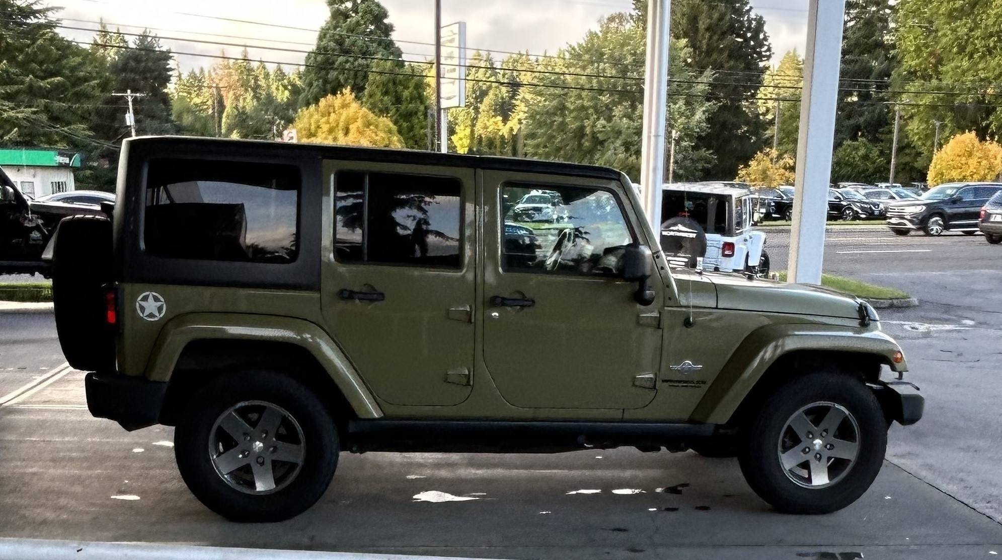 Jeep Wrangler JL Pick a Color 2013 jeep DALE.JPG