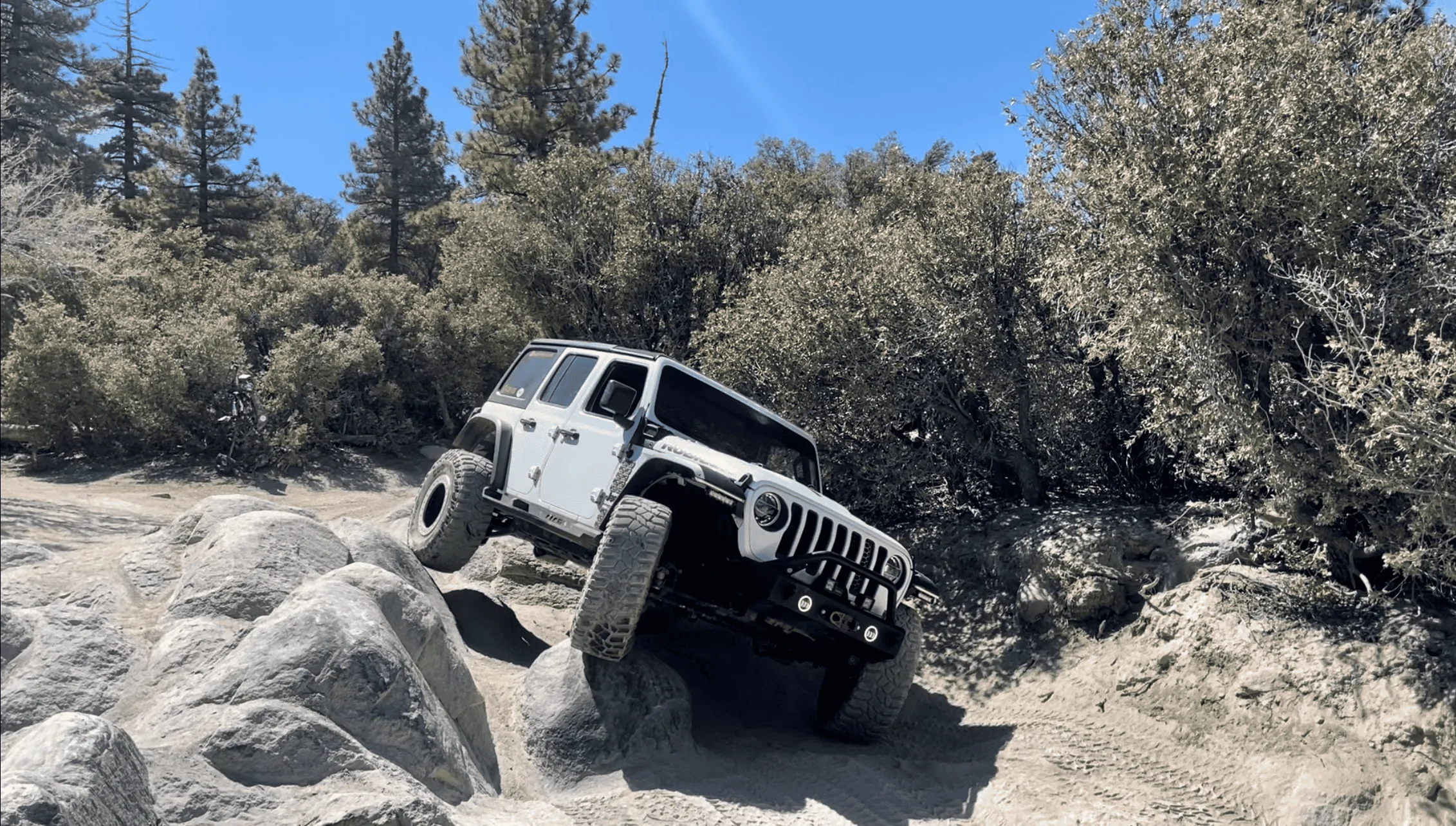 Jeep Wrangler JL HAPPY ? DAY  !!! Let's see those flexin' photos 1704915732788