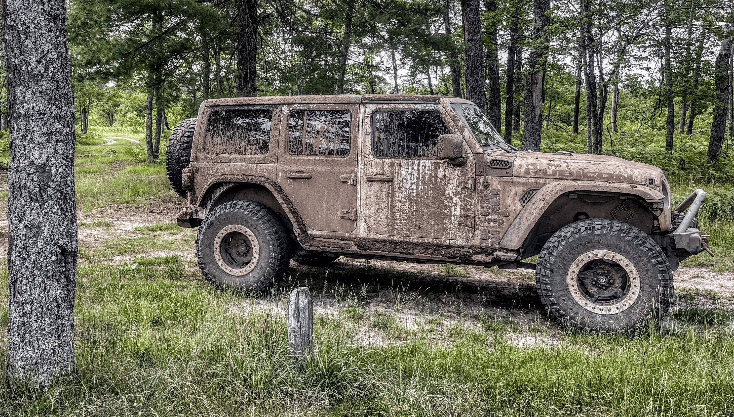 Jeep Wrangler JL Ditch lights AND a snorkel? 1705071672363