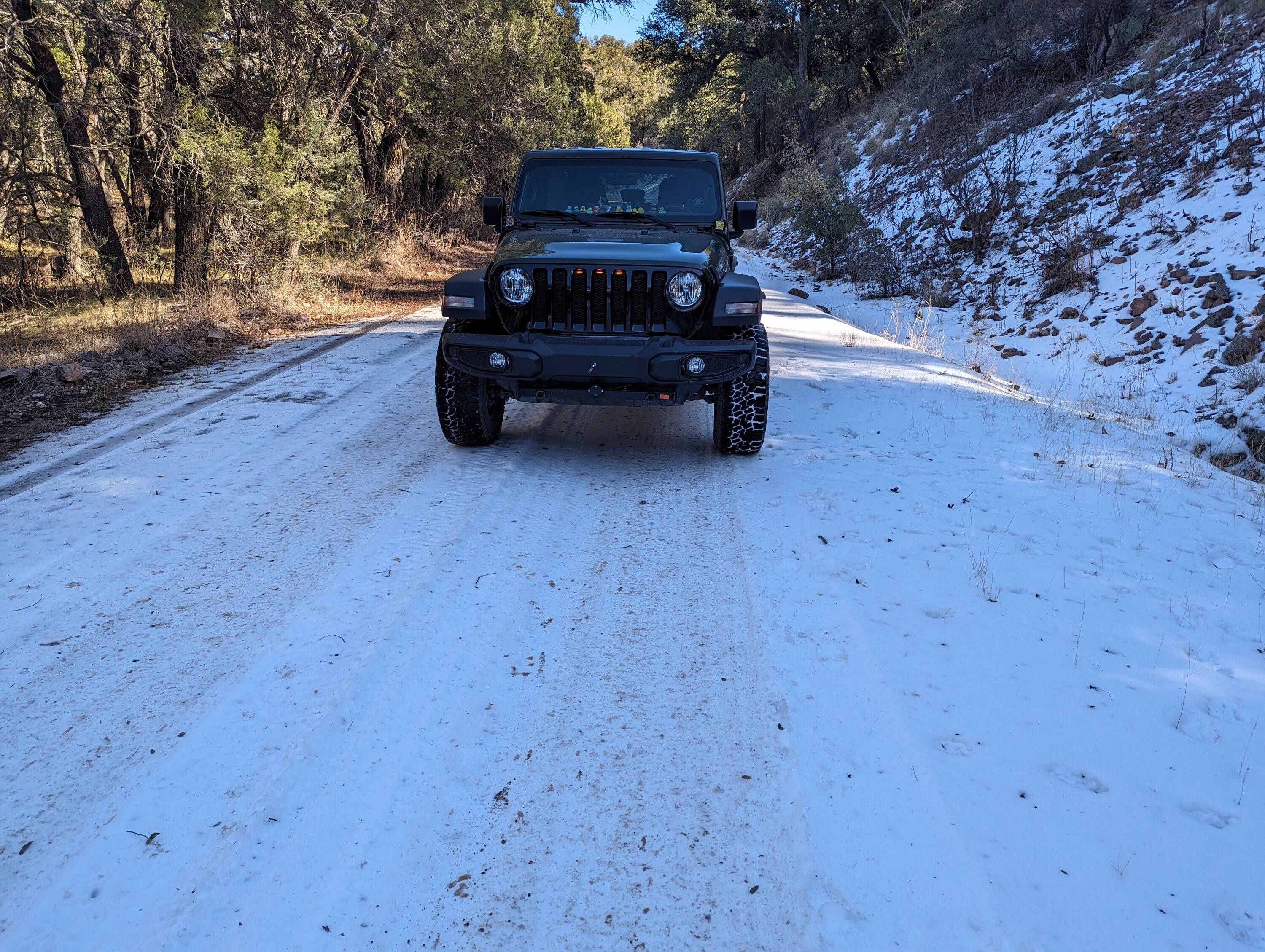 Jeep Wrangler JL Great Day Off Road PXL_20240117_210310642