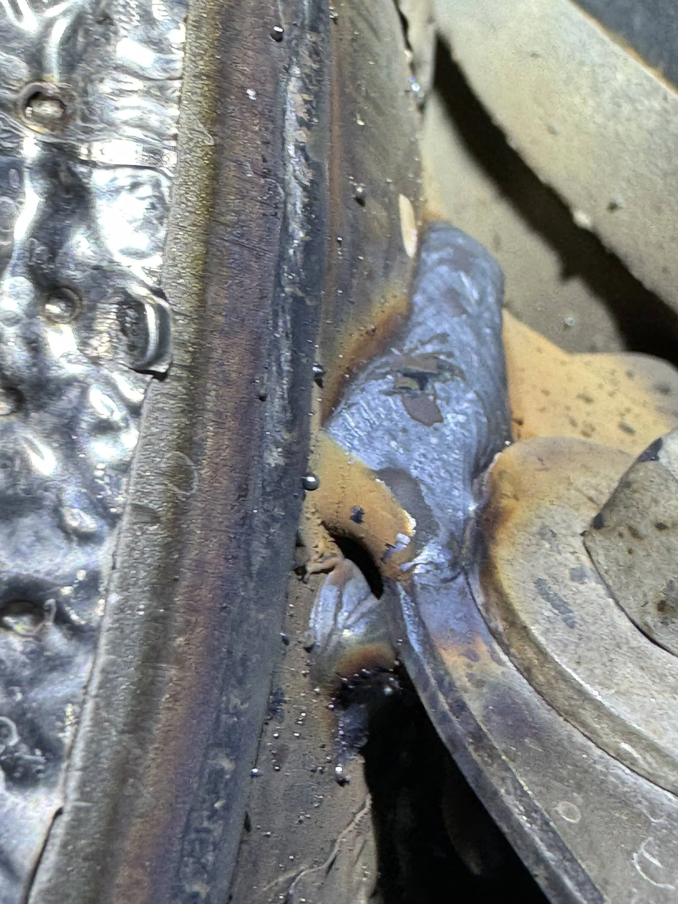 Jeep Wrangler JL Engine rattle!?! IMG_0041