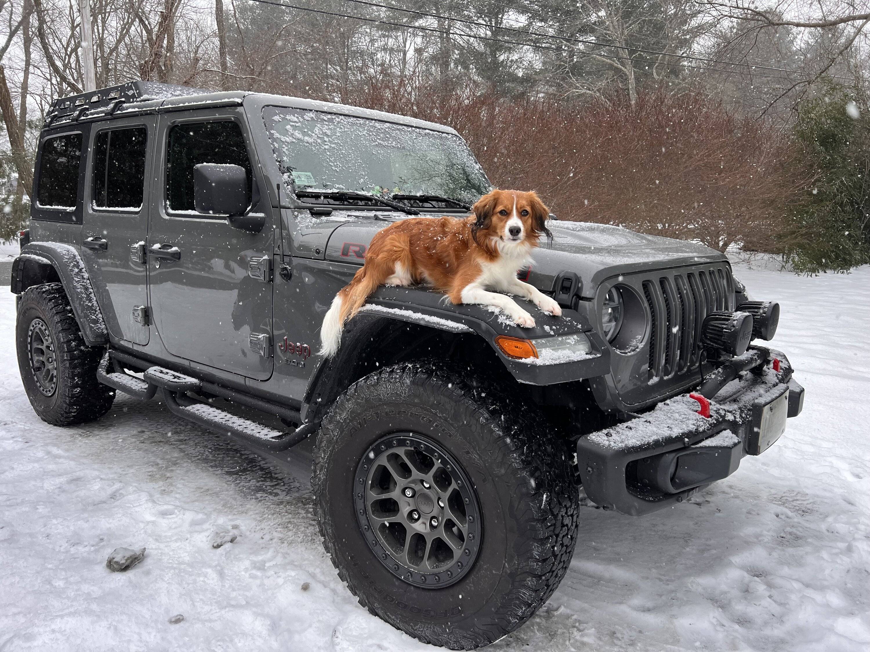 Jeep Wrangler JL Jeep Dog pics IMG_2177