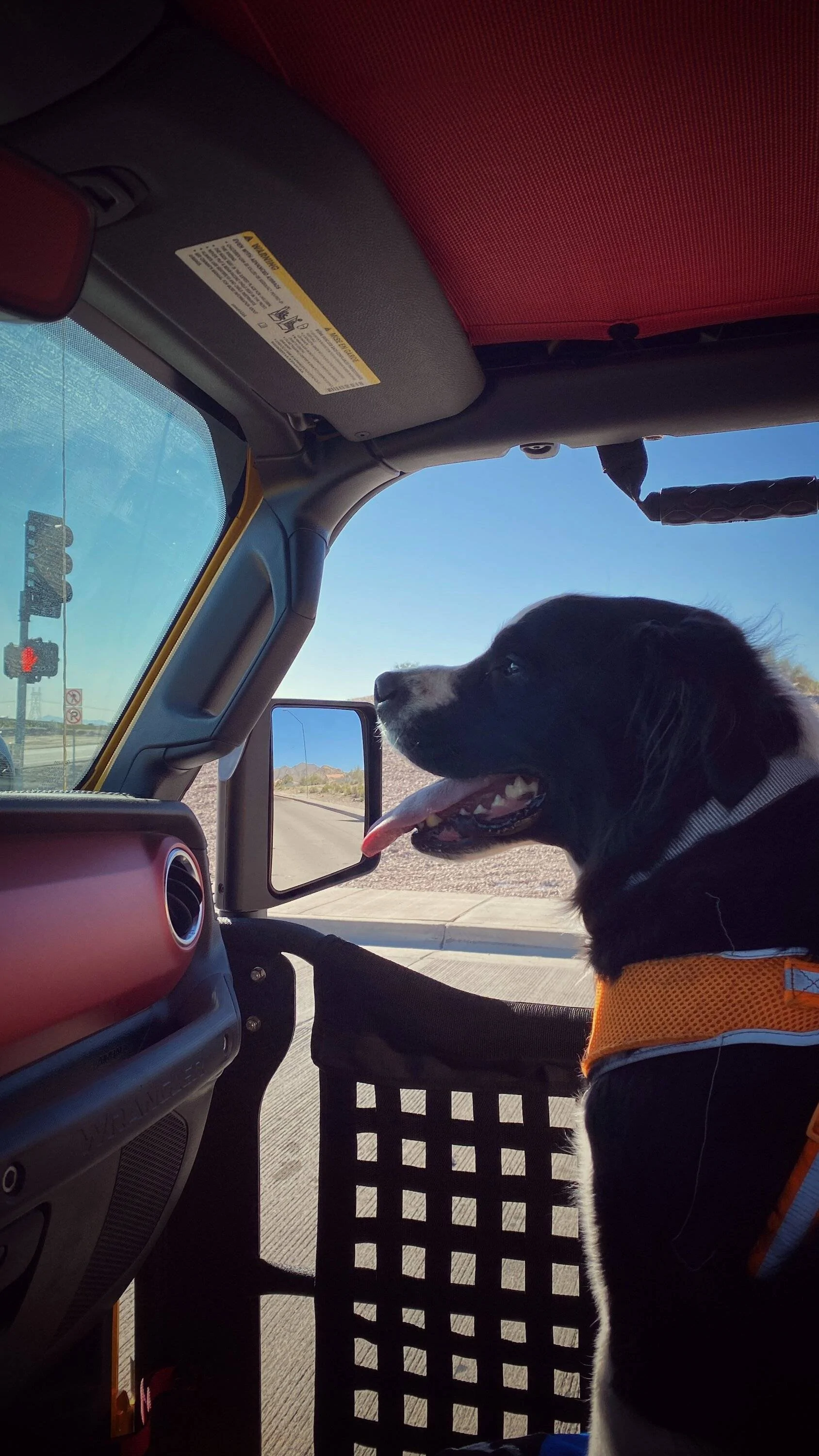 Jeep Wrangler JL Jeep Dog pics FullSizeRender