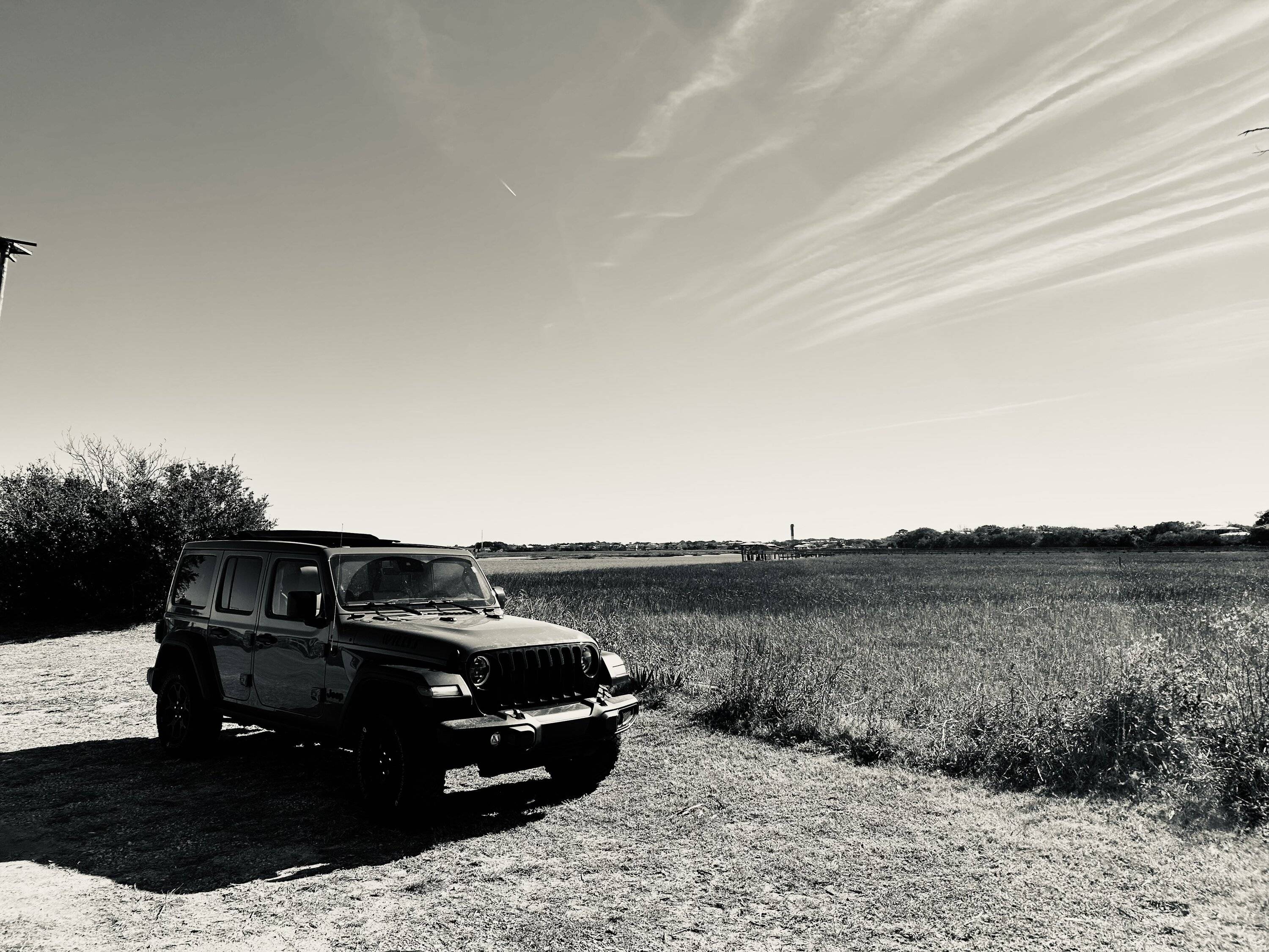 Jeep Wrangler JL Black and White IMG_1639
