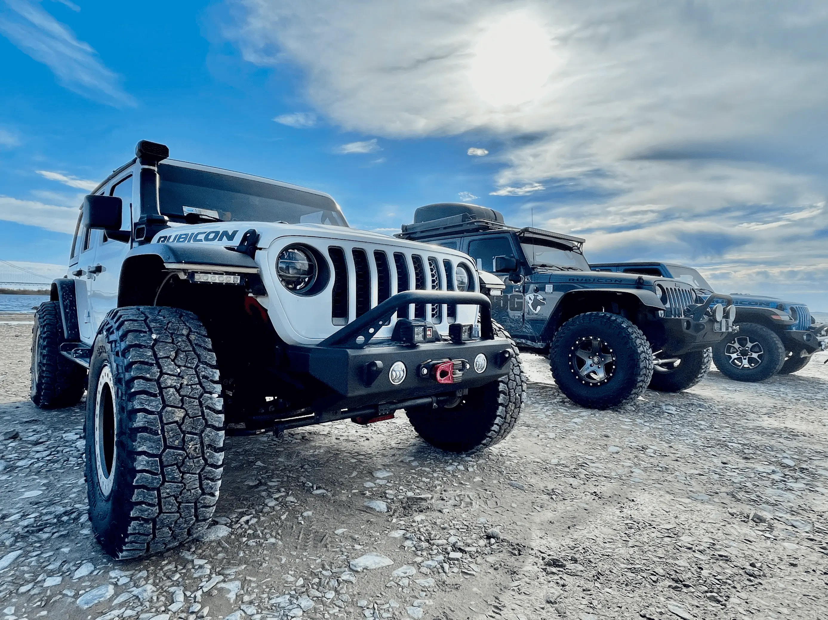 Jeep Wrangler JL Jeep Dog pics 1707046784731