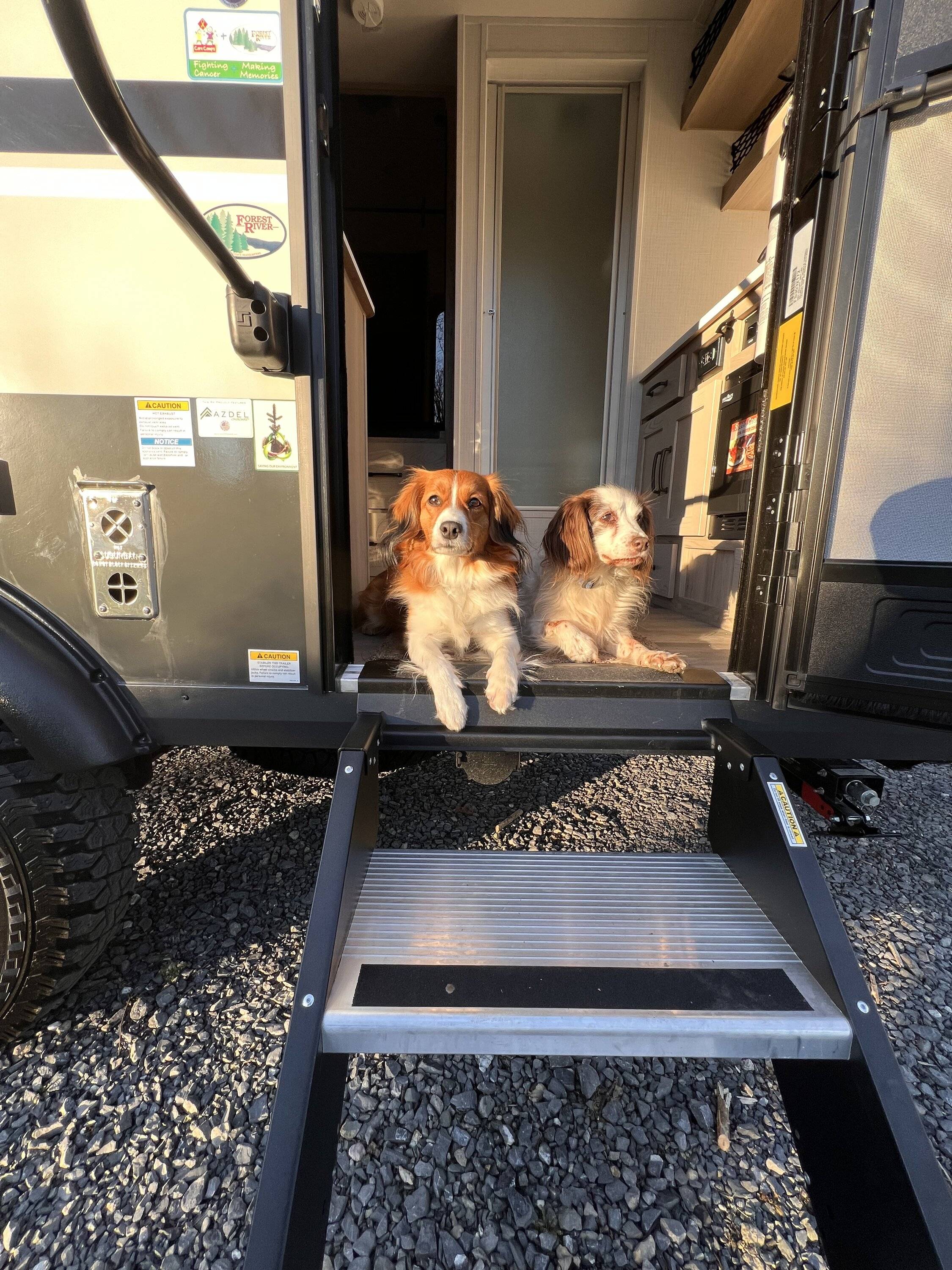 Jeep Wrangler JL Jeep Dog pics IMG_2230