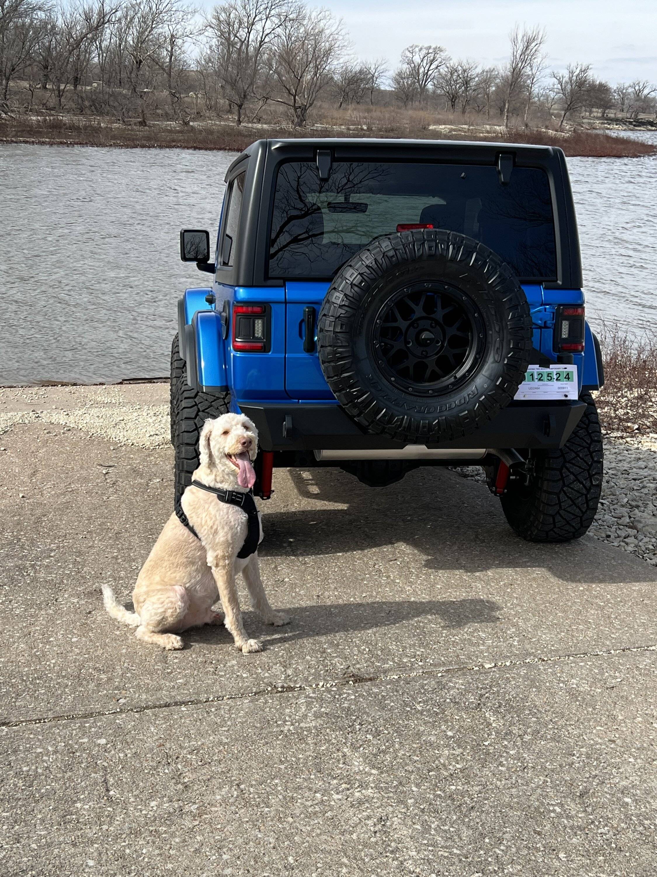 Jeep Wrangler JL Jeep Dog pics IMG_3774