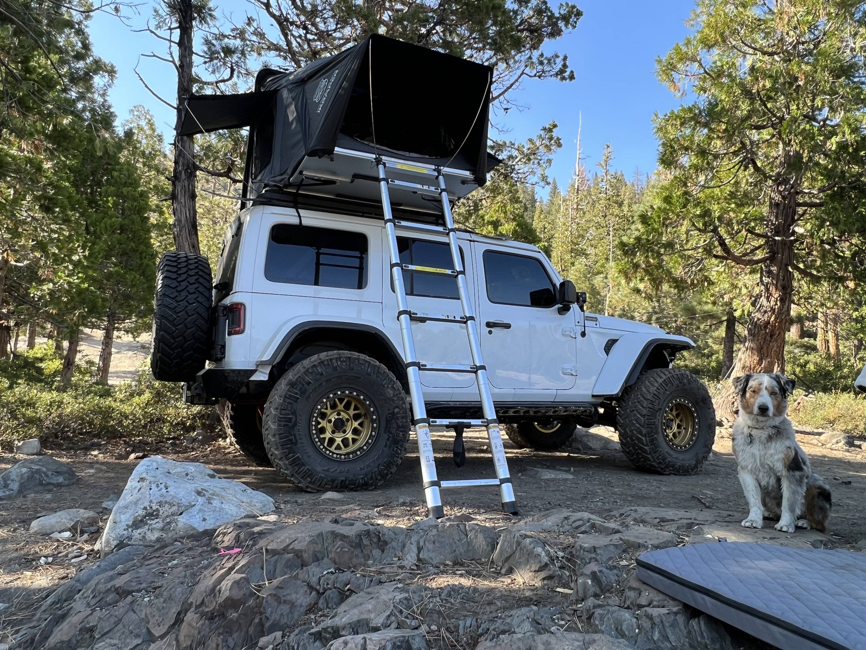 Jeep Wrangler JL Contemplating a RTT IMG_2426