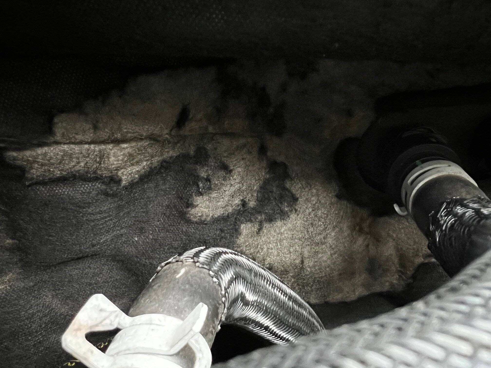 Jeep Wrangler JL Mice eating my firewall insulation IMG_2452