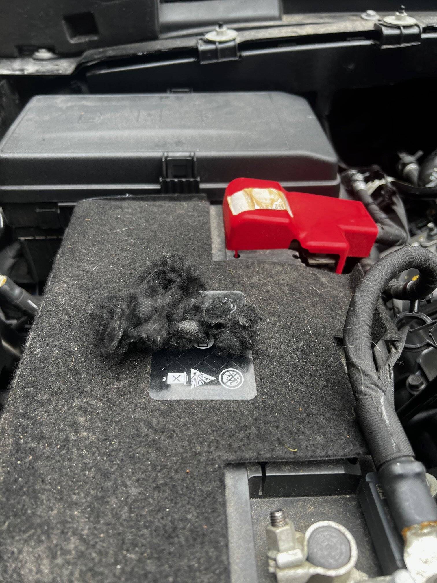 Jeep Wrangler JL Mice eating my firewall insulation IMG_2451