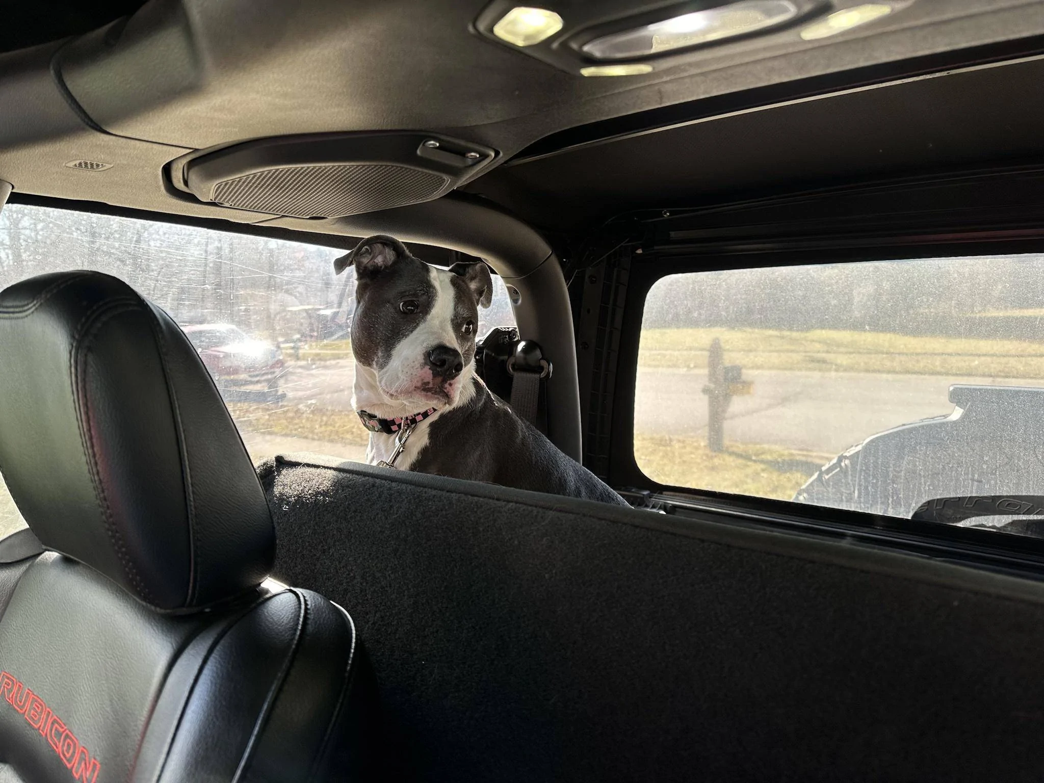 Jeep Wrangler JL Jeep Dog pics Z5zgPda