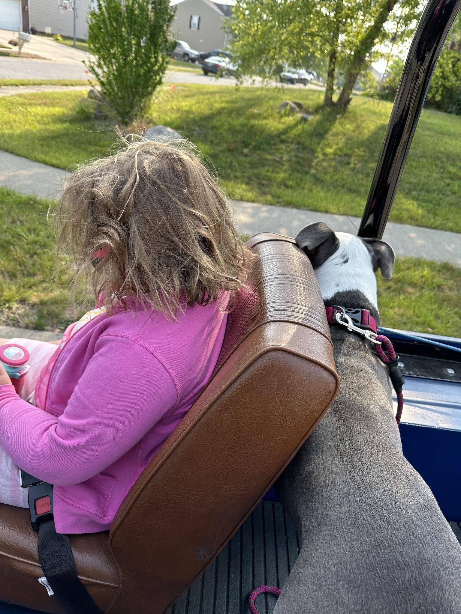 Jeep Wrangler JL Jeep Dog pics MBNE4Kk