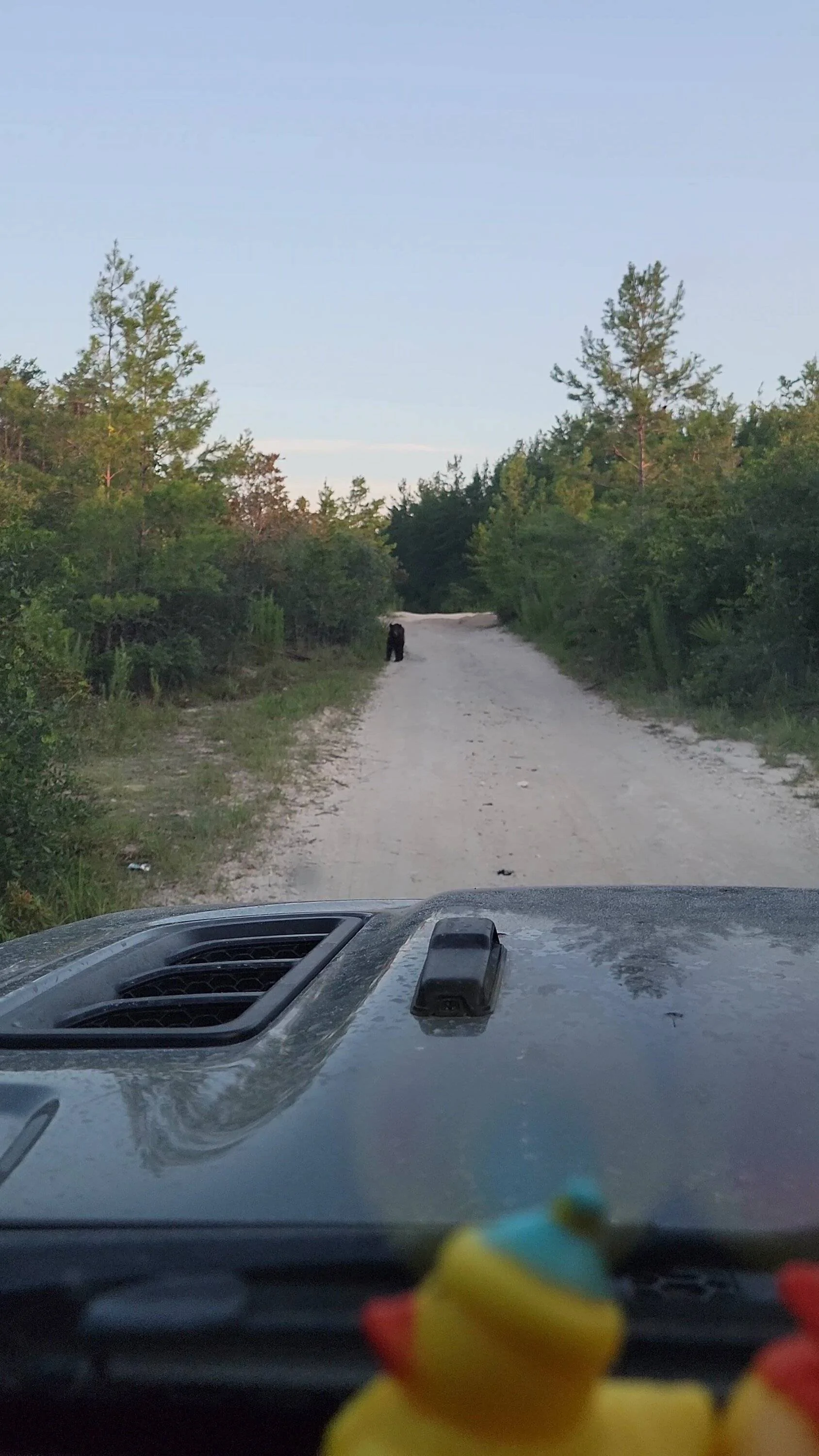 Jeep Wrangler JL Florida Roll Call! VideoCapture_20230702-222937