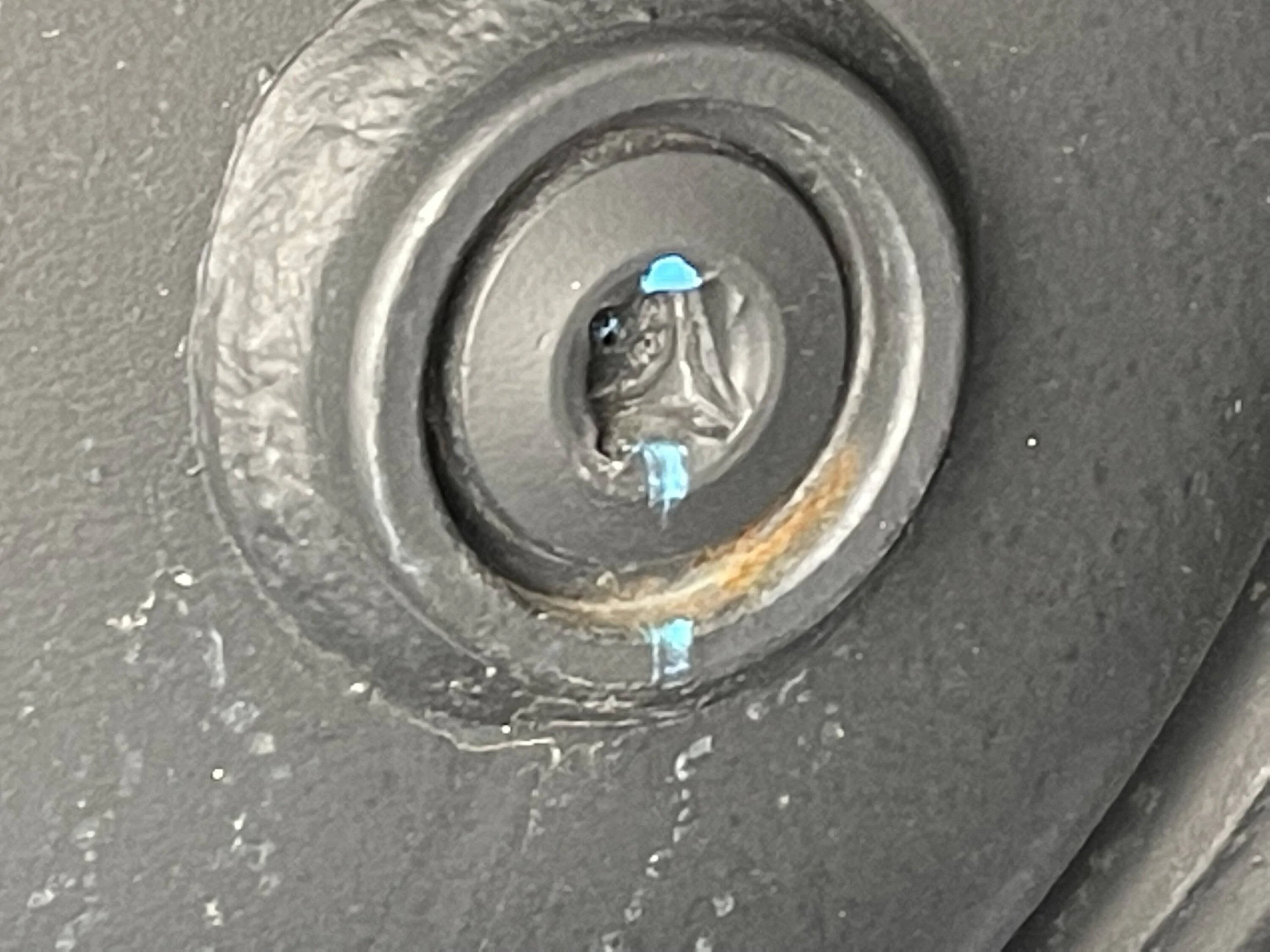 Jeep Wrangler JL Differential fluid IMG_1763