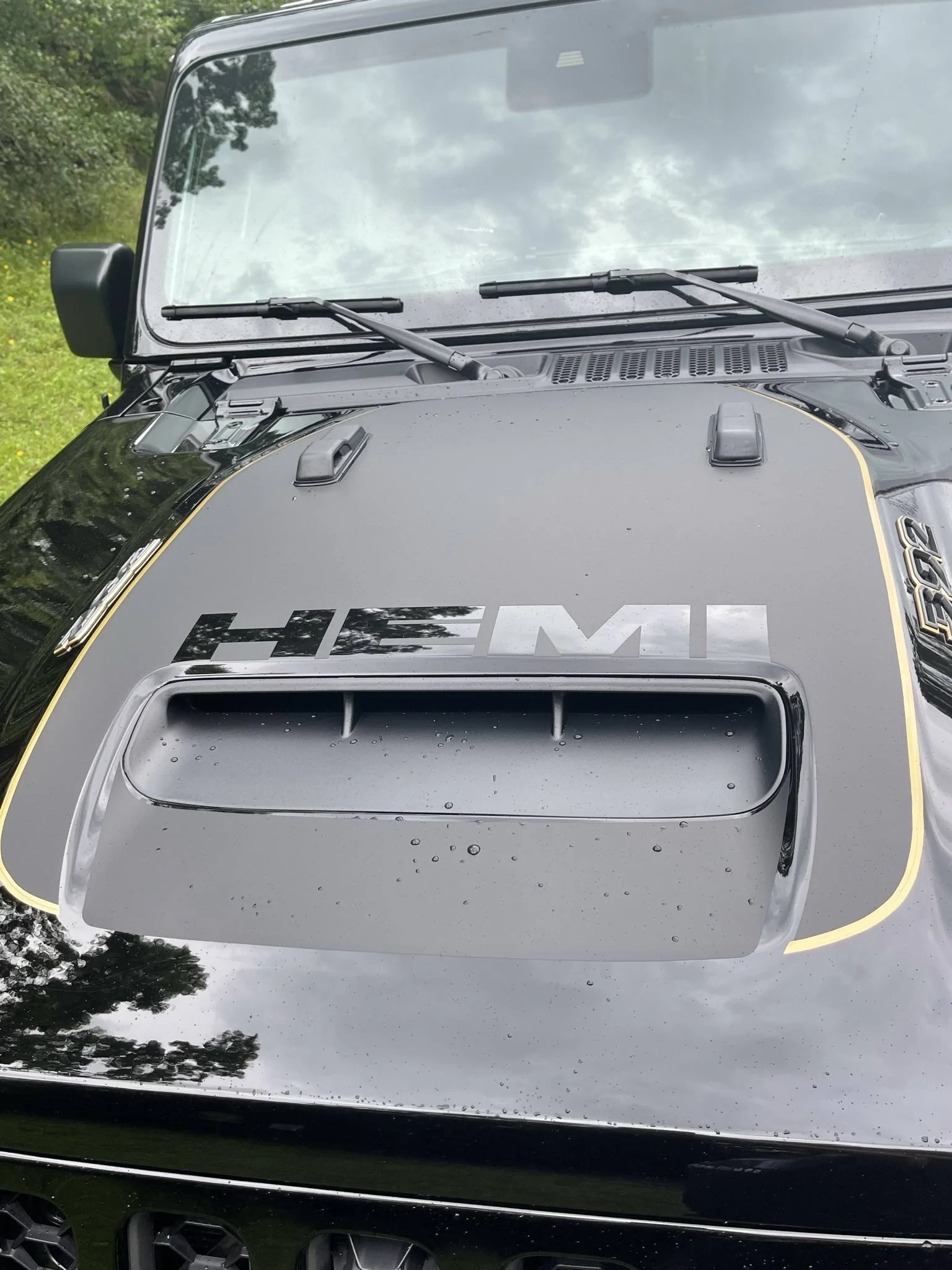 Hemi Hood 02.jpeg