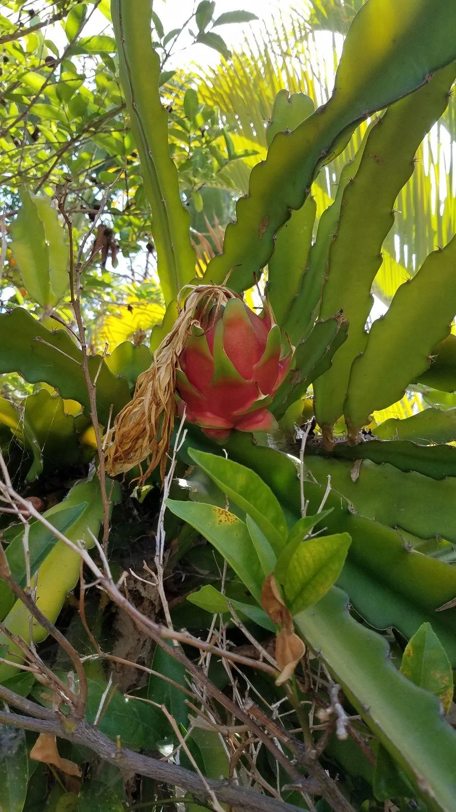 20180905_094848.webp