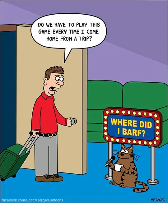 wheredidibarf.webp