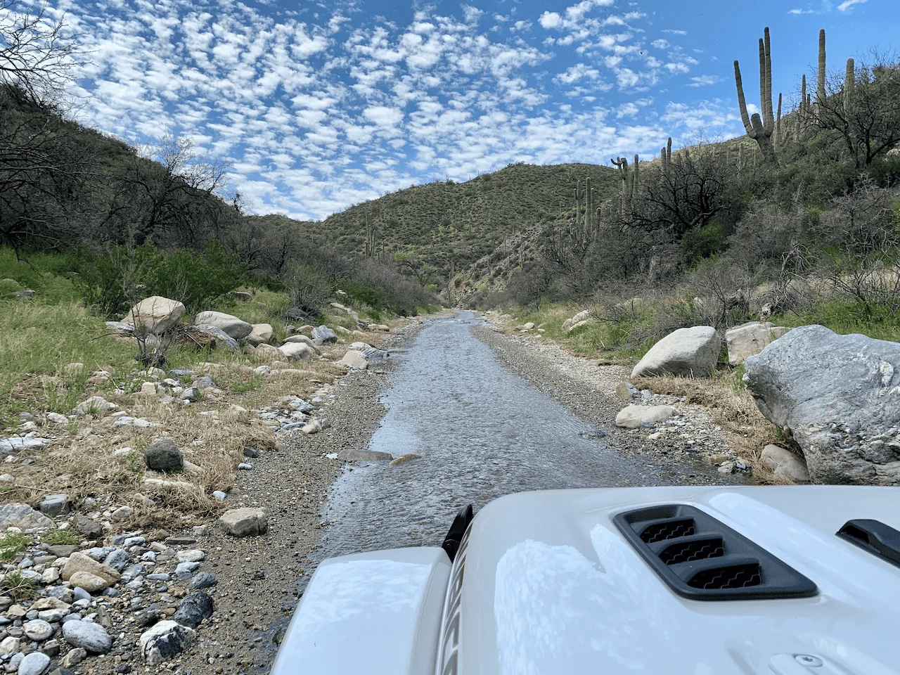 Jeep Wrangler JL Your Best Pictures from your Home State / Province ?️ 4 (1)