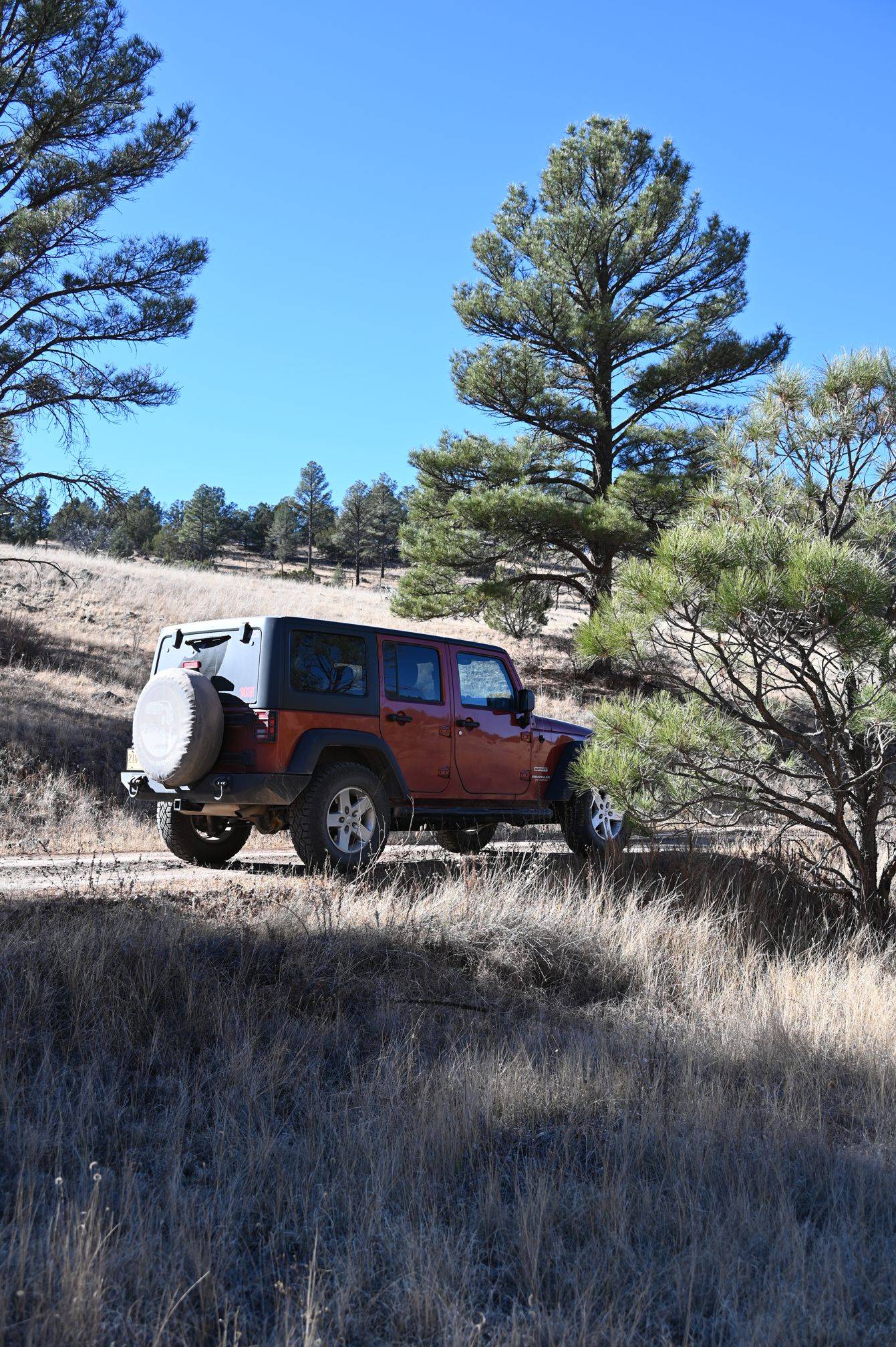 Jeep Wrangler JL Your Best Pictures from your Home State / Province ?️ DSC_0142 Resized