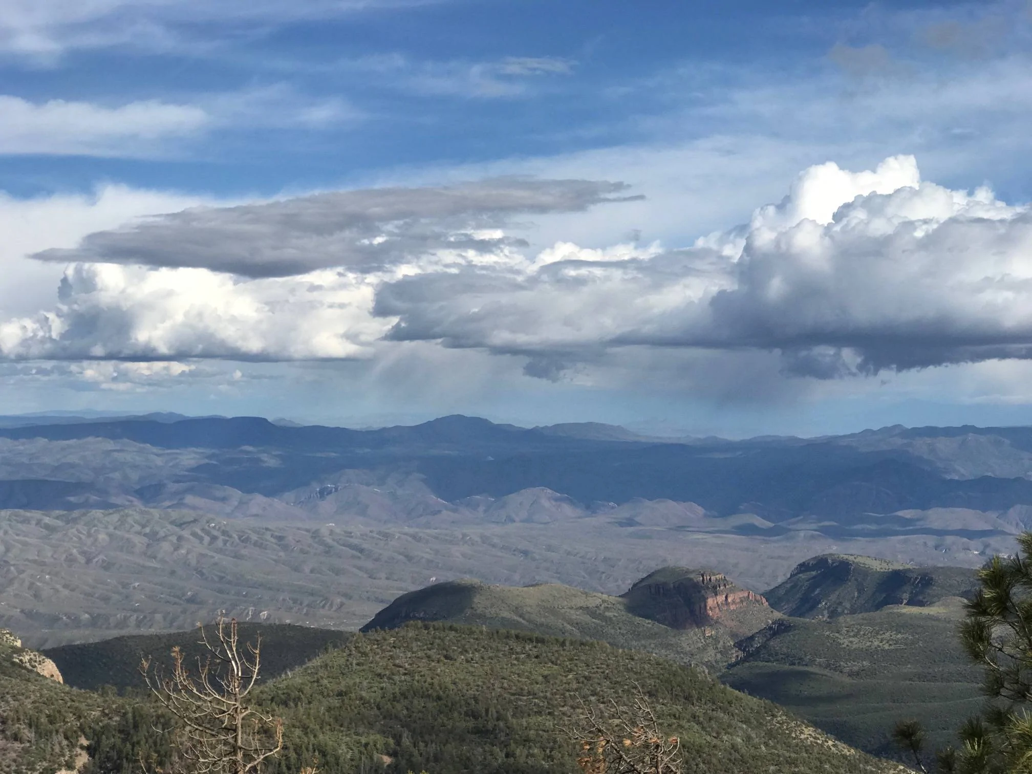 Jeep Wrangler JL Your Best Pictures from your Home State / Province ?️ Big Sky