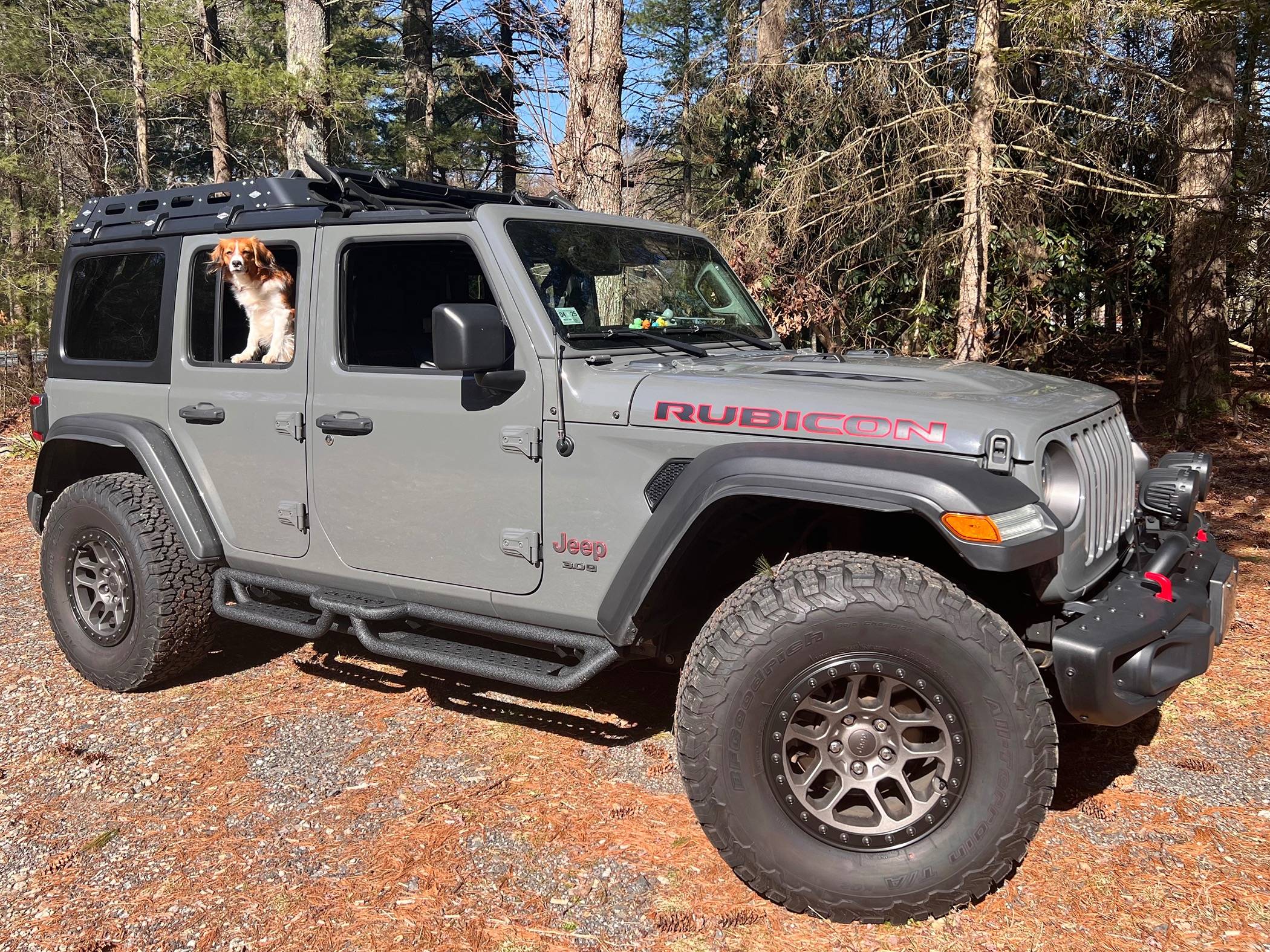 Jeep Wrangler JL Jeep Dog pics IMG_2363