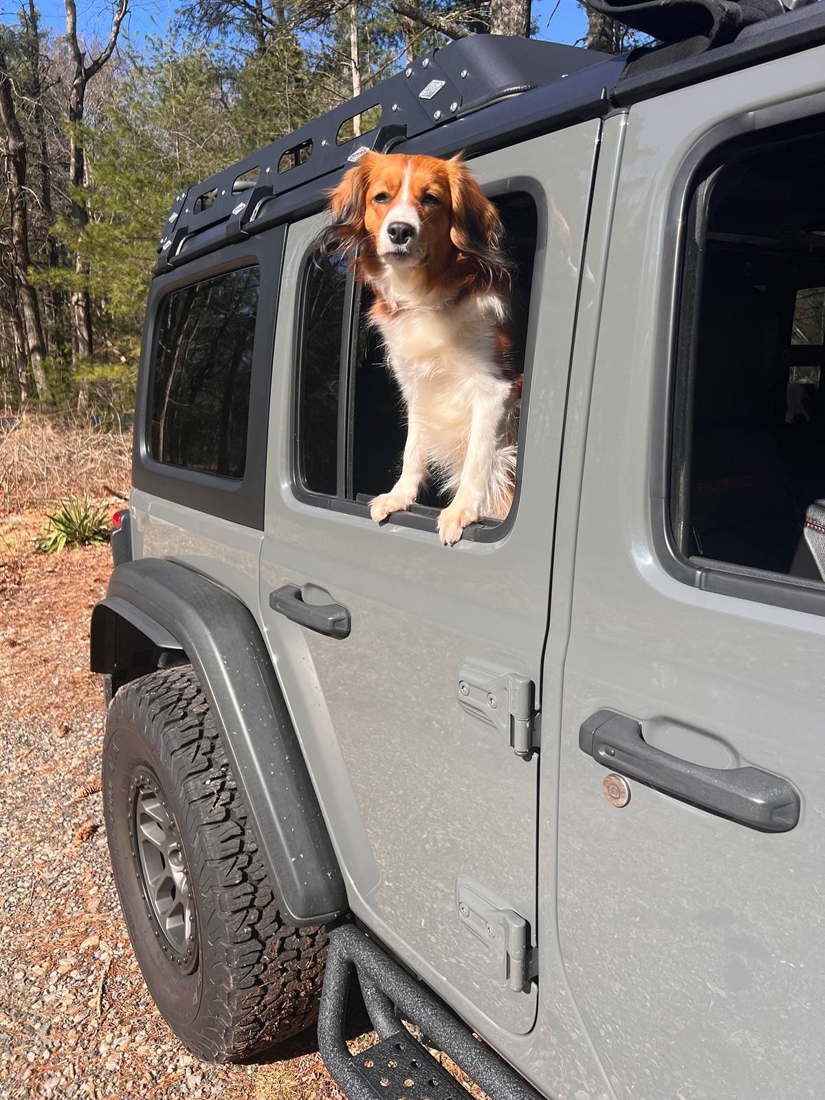 Jeep Wrangler JL Jeep Dog pics IMG_2364