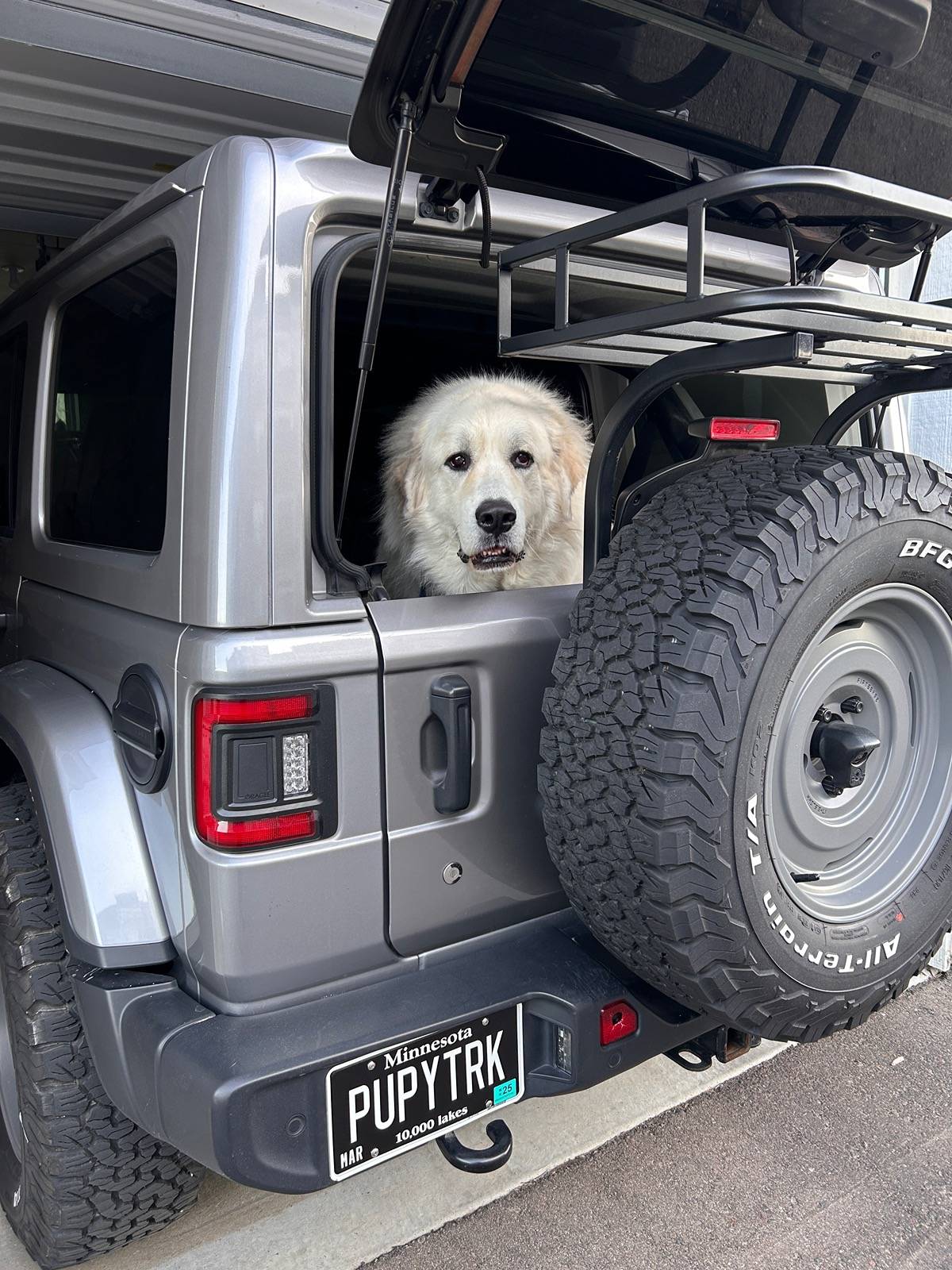 Jeep Wrangler JL Jeep Dog pics IMG_0739