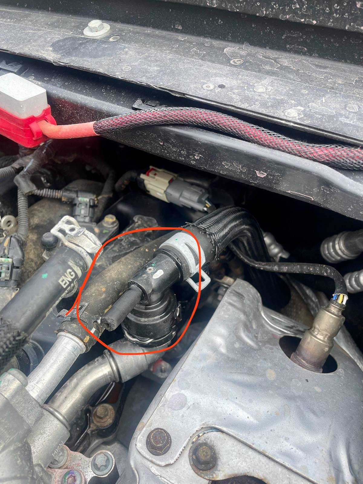 Jeep Wrangler JL Coolant line came off, need help identifying part IMG_6074