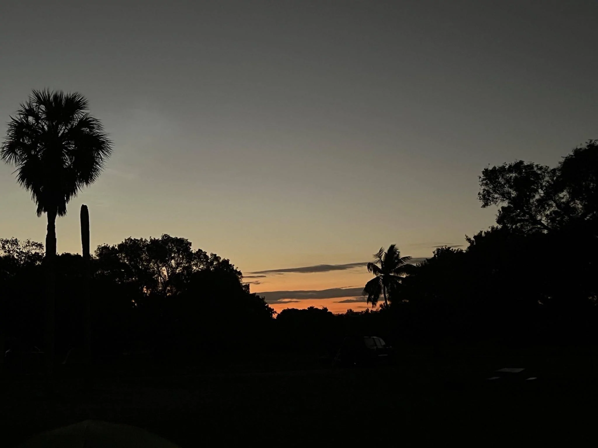 Jeep Wrangler JL Florida trip… CeMxDqs