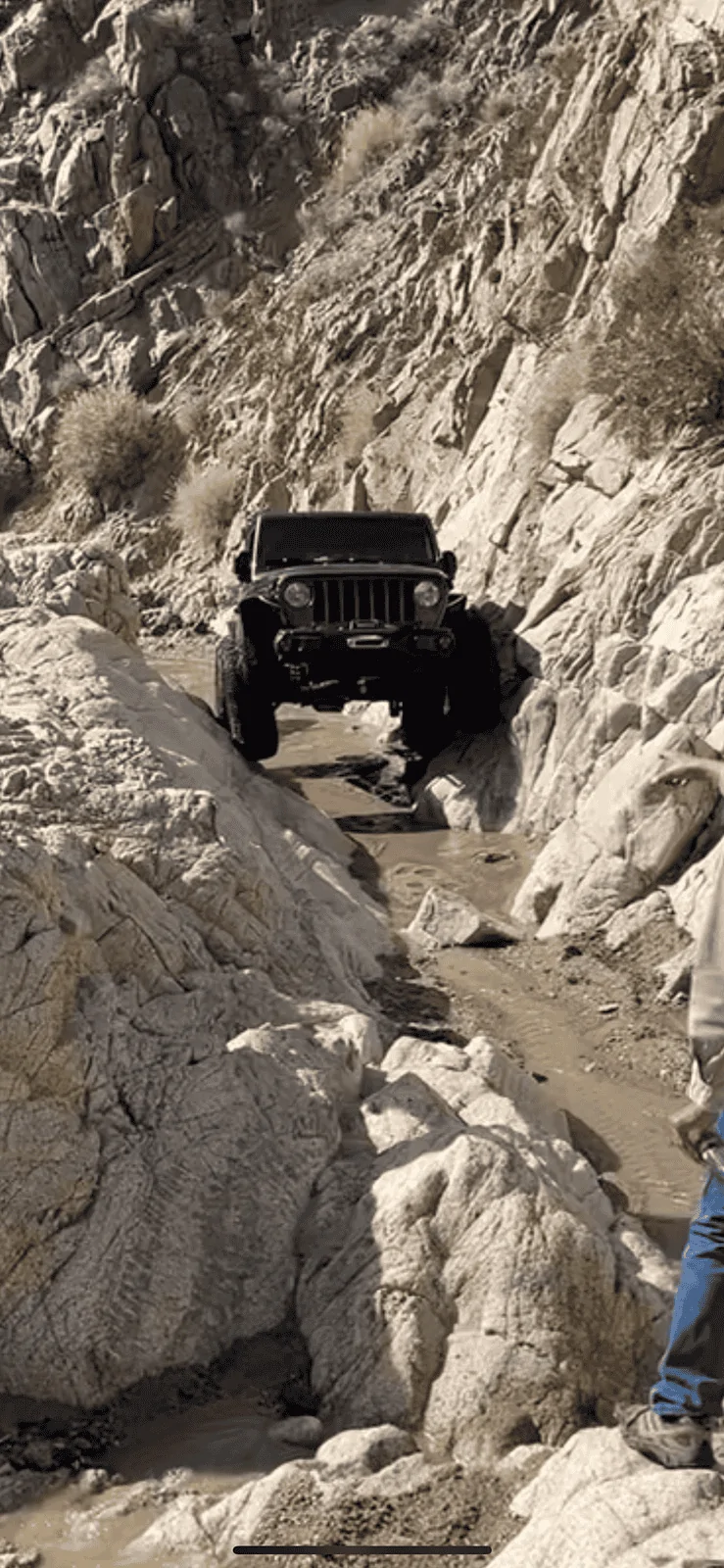 Jeep Wrangler JL 35" vs 37" - Need some advice! IMG_0216