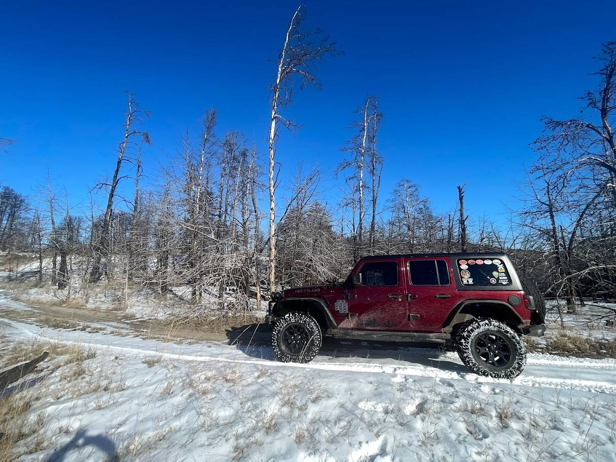 Jeep Wrangler JL Who's Rocking Back Window Stickers IMG_4144